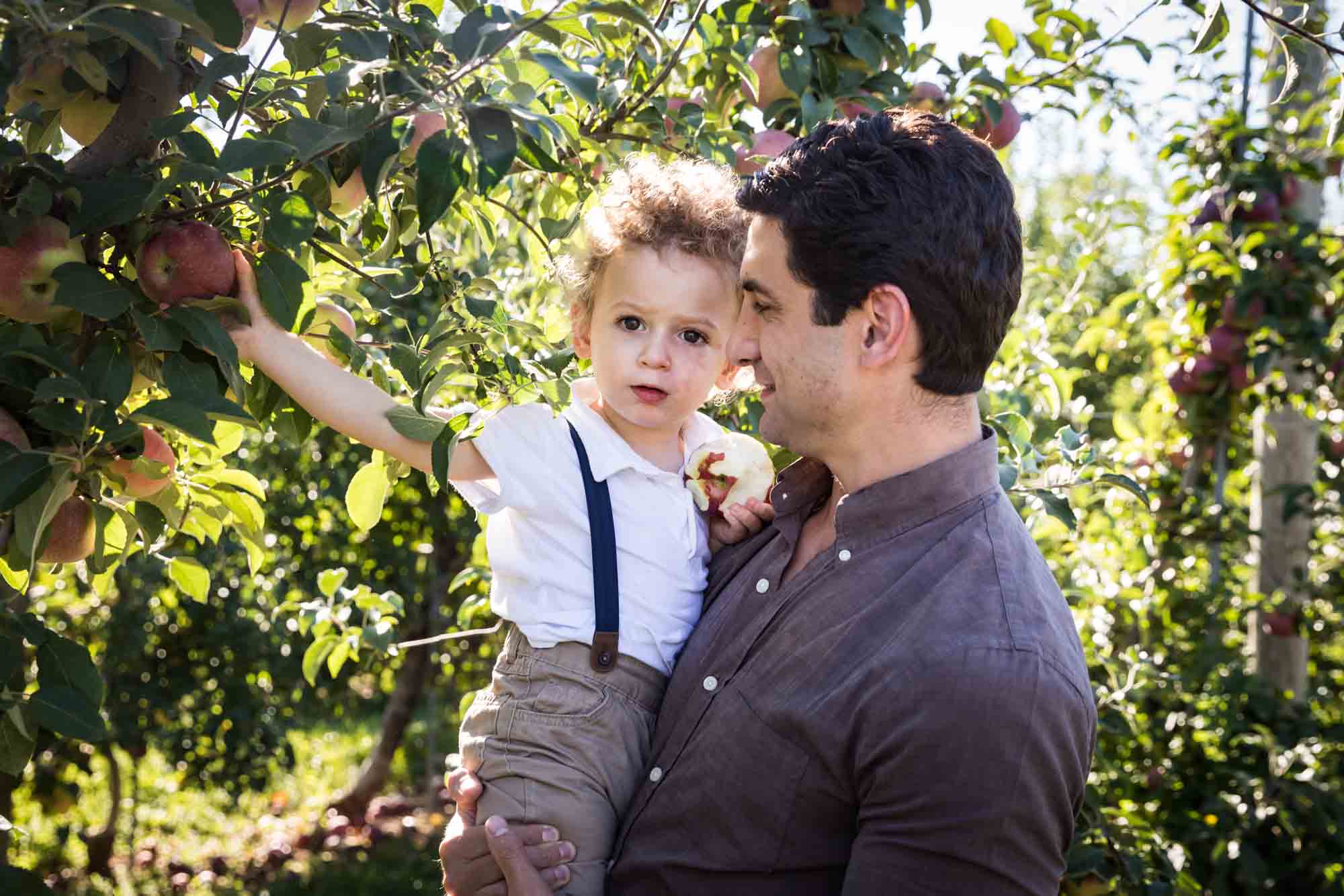 Little boy grabbing tree from branch while father holding him