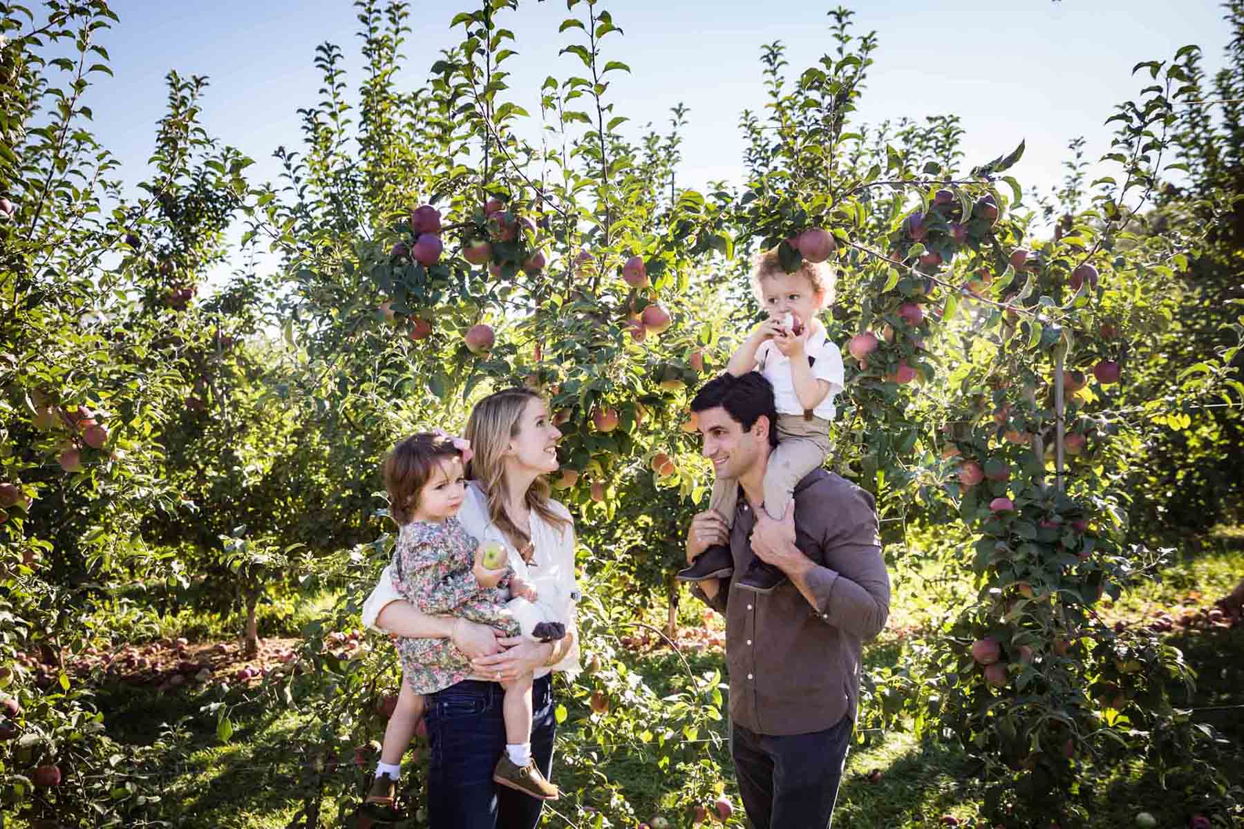 Parents holding toddlers in an orchard for an article on tips for apple picking family photos