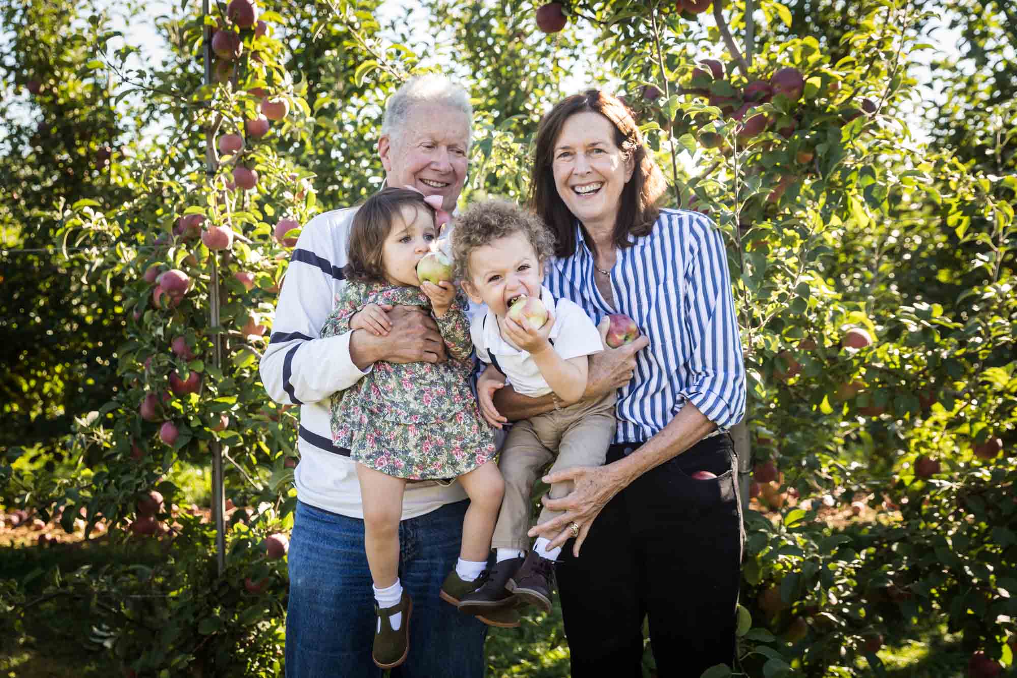 Grandparents holding two toddlers eating apples
