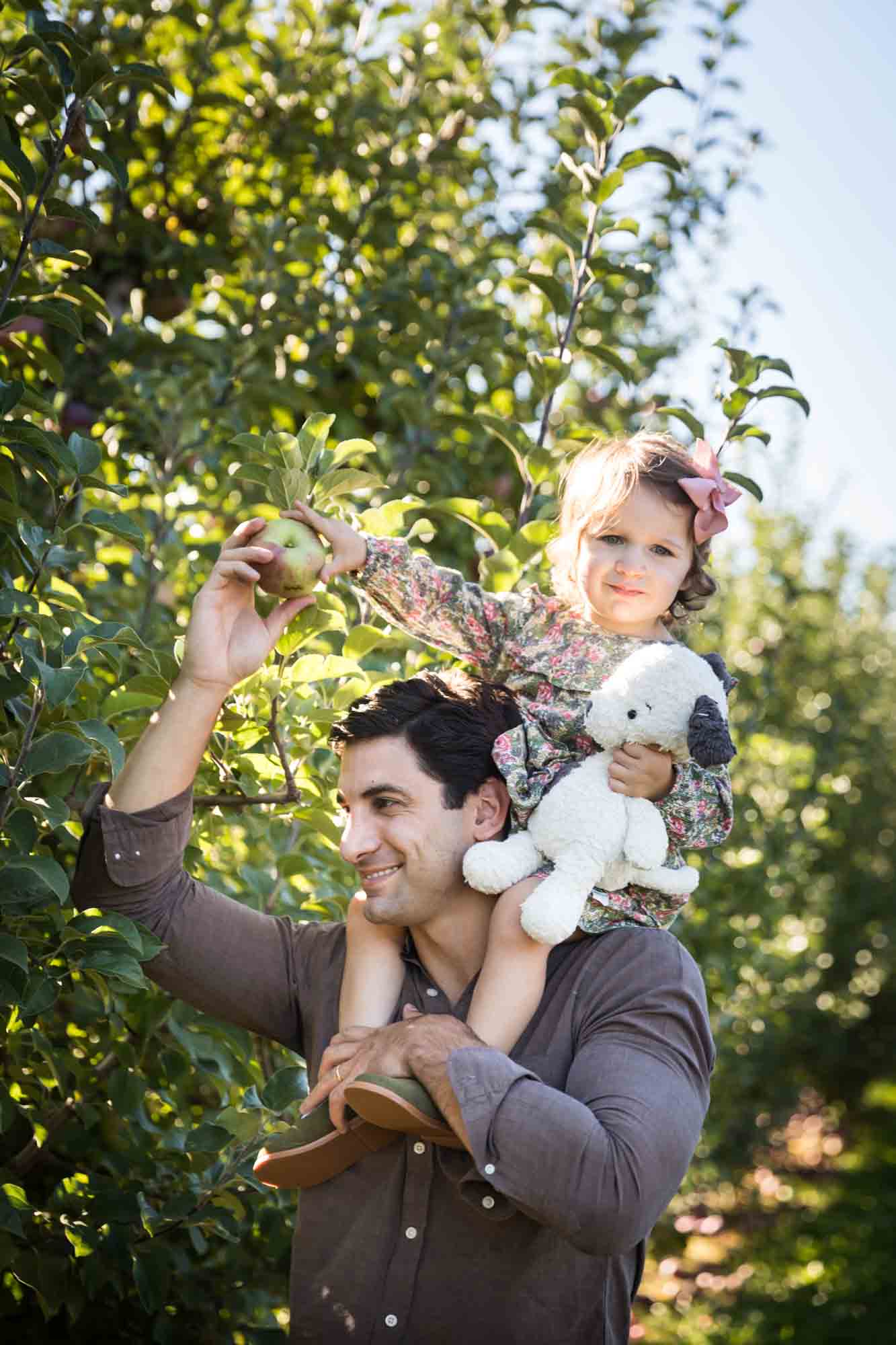 Father handing apple to little girl on his shoulders