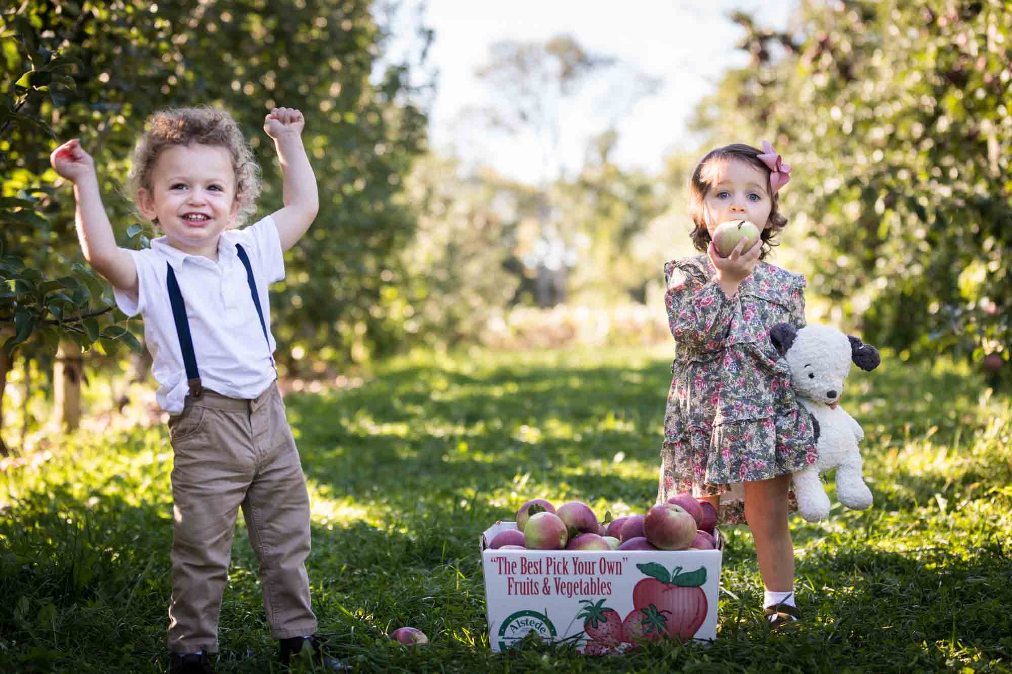 Two toddlers with apples in an orchard for an article on tips for apple picking family photos