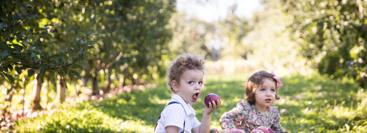Two little kids eating apples for an article on tips for apple picking family photos
