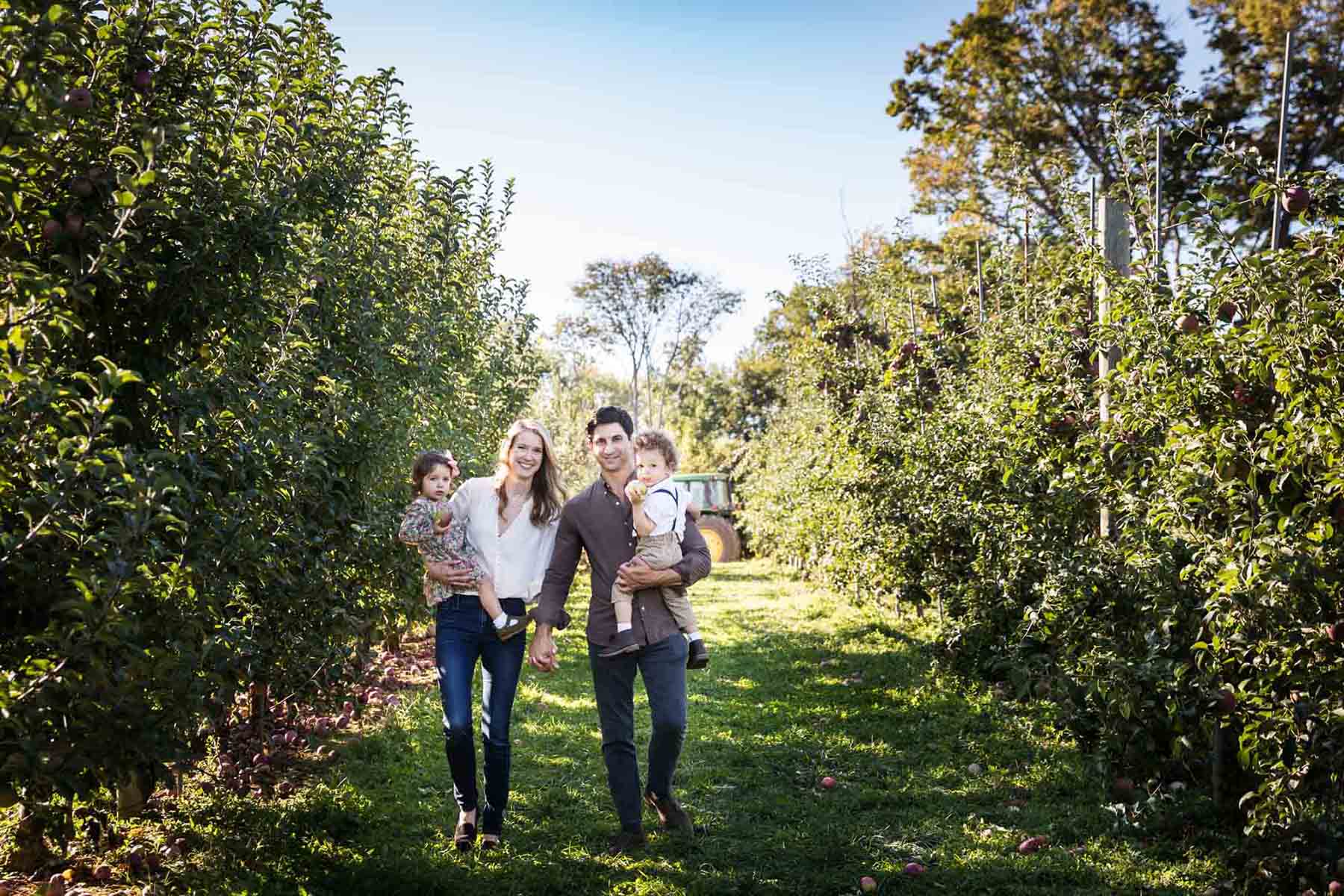 Parents holding two little kids and walking in orchard for an article on tips for apple picking family photos