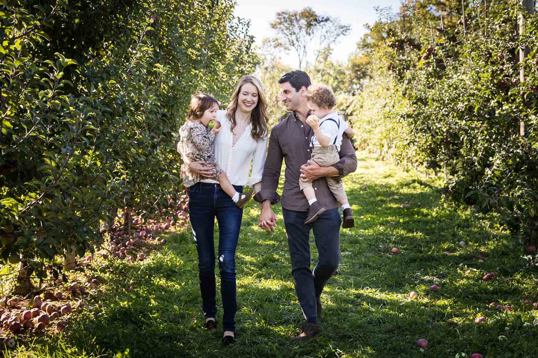 Parents holding little children and walking through an orchard for an article on tips for apple picking family photos
