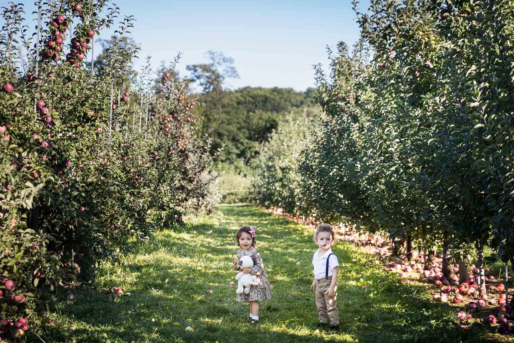 Two toddlers in an apple orchard for an article on tips for apple picking family photos