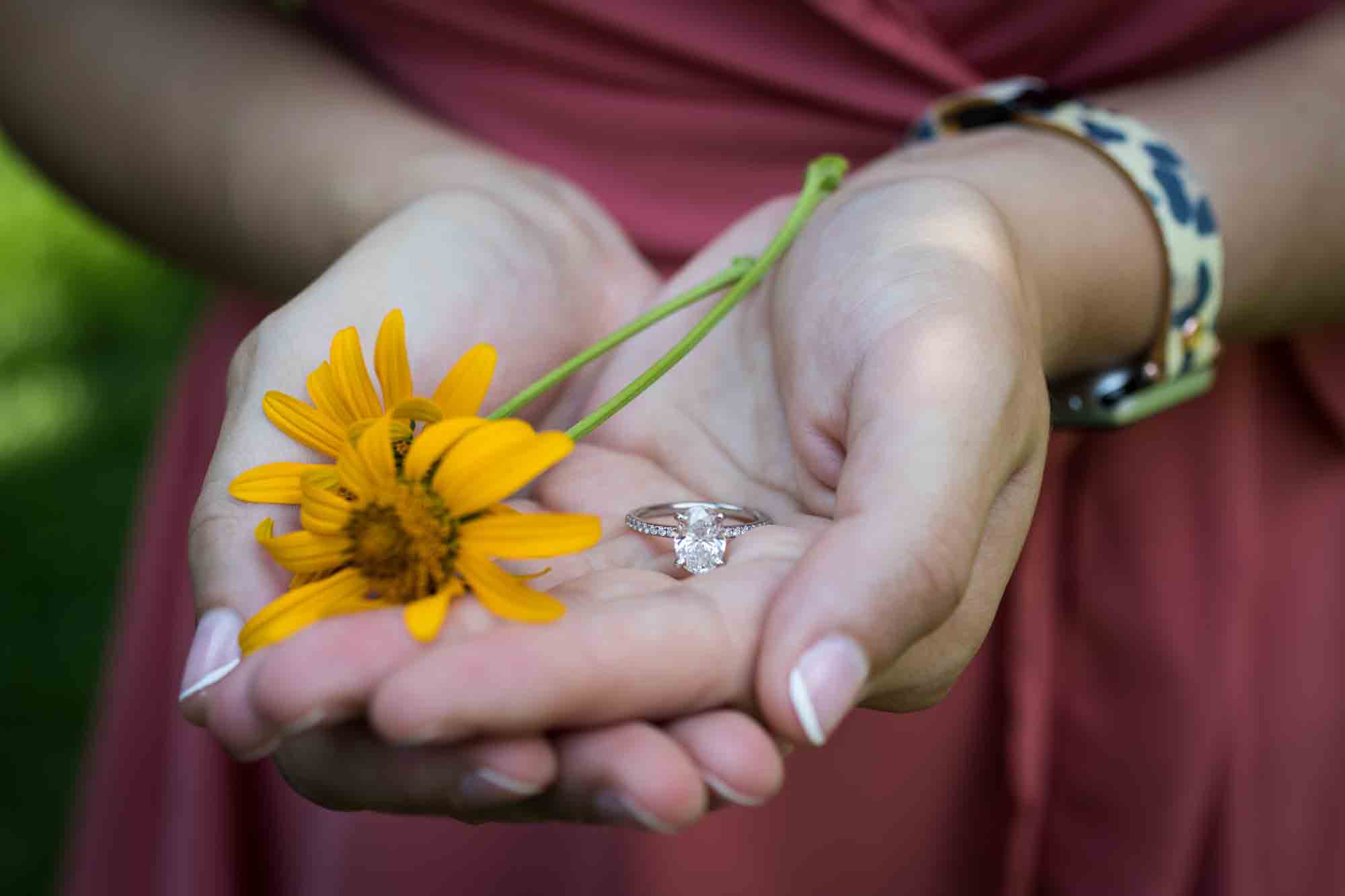 Woman's hand holding yellow daisy and engagement ring