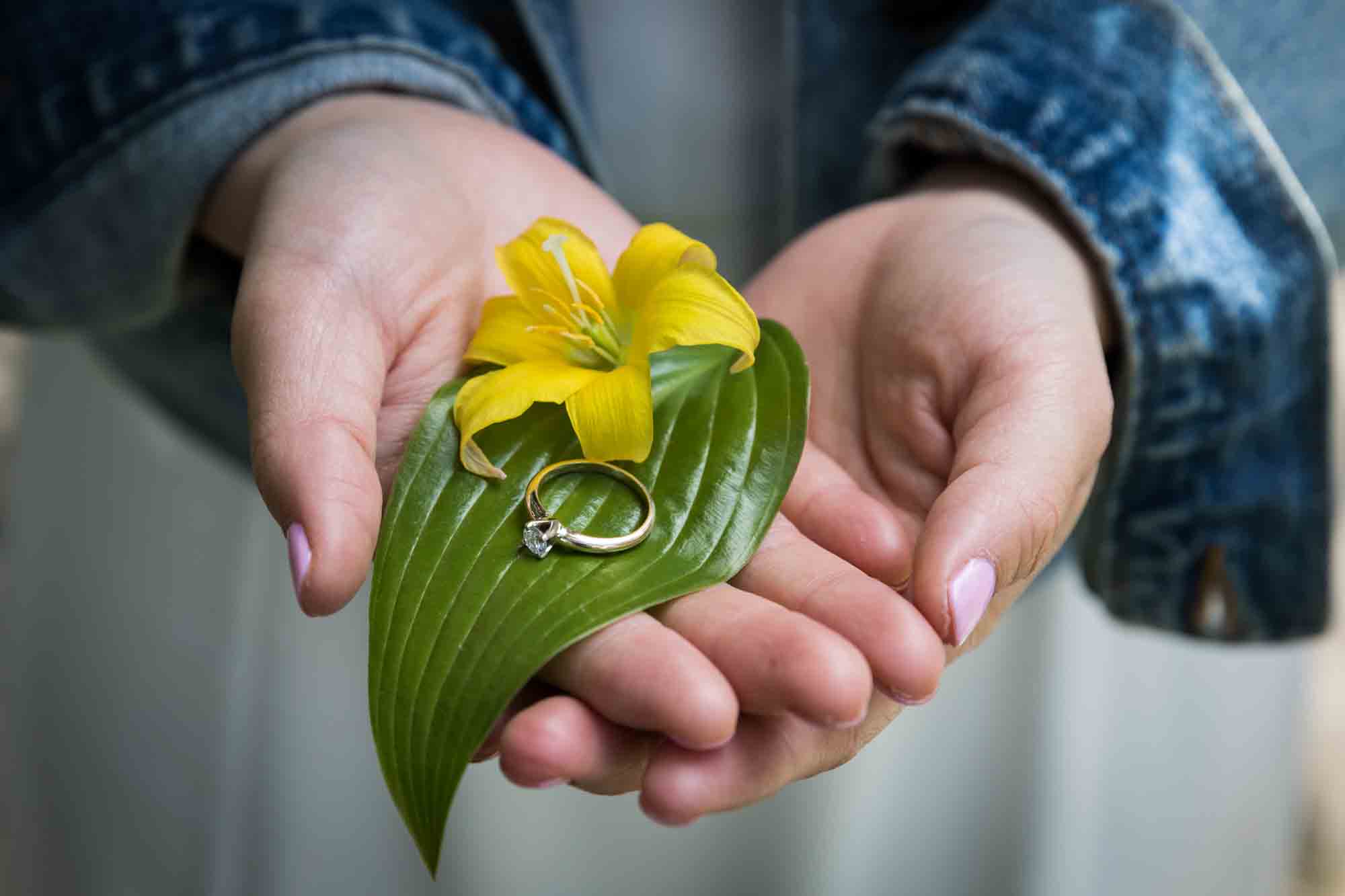 Shakespeare Garden engagement photos of a woman's hands holding a leaf, yellow flower, and engagement ring