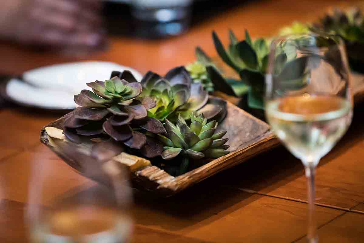 Centerpiece of live succulents on a table