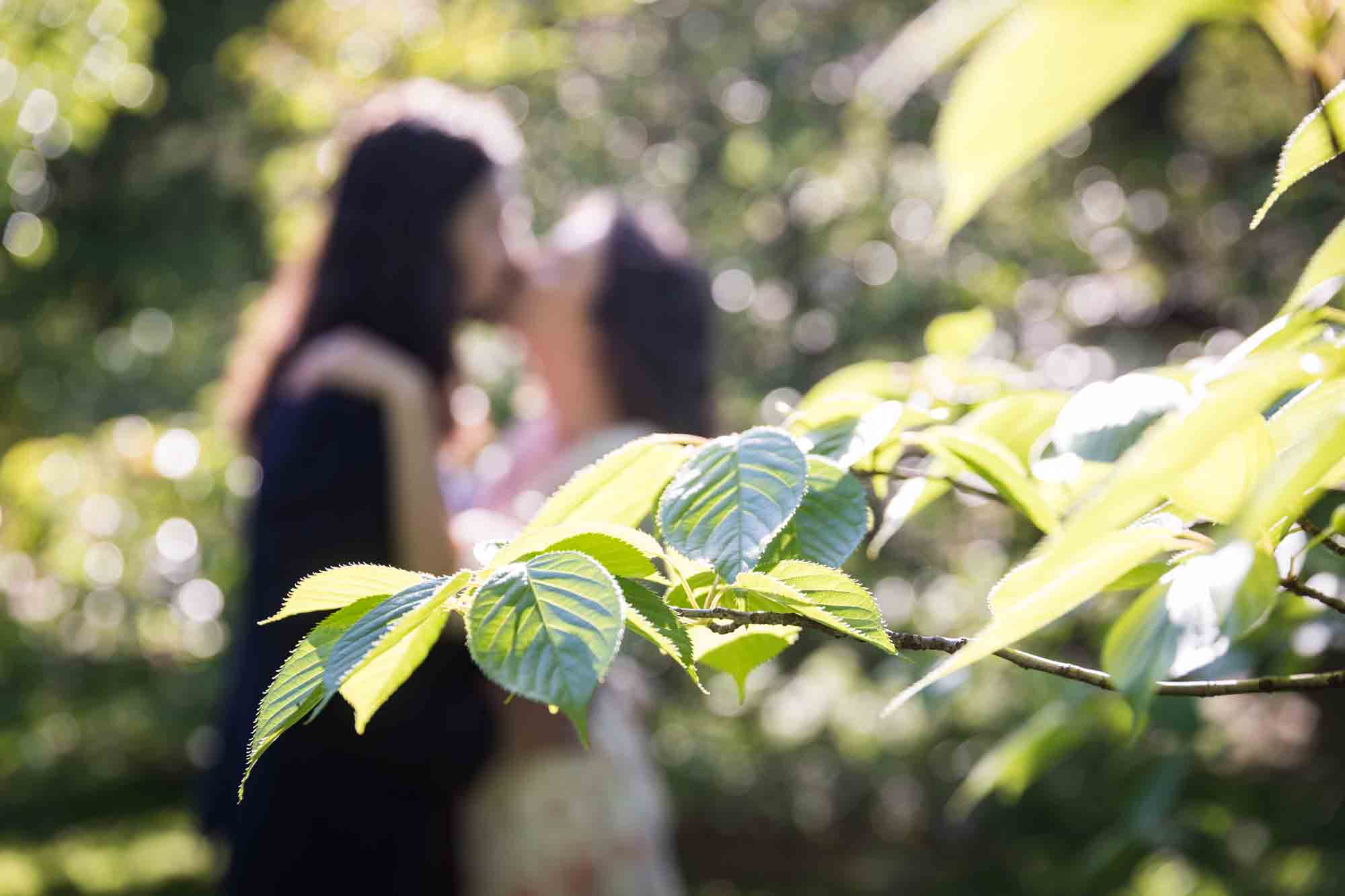 Couple kissing behind branch in New York Botanical Garden