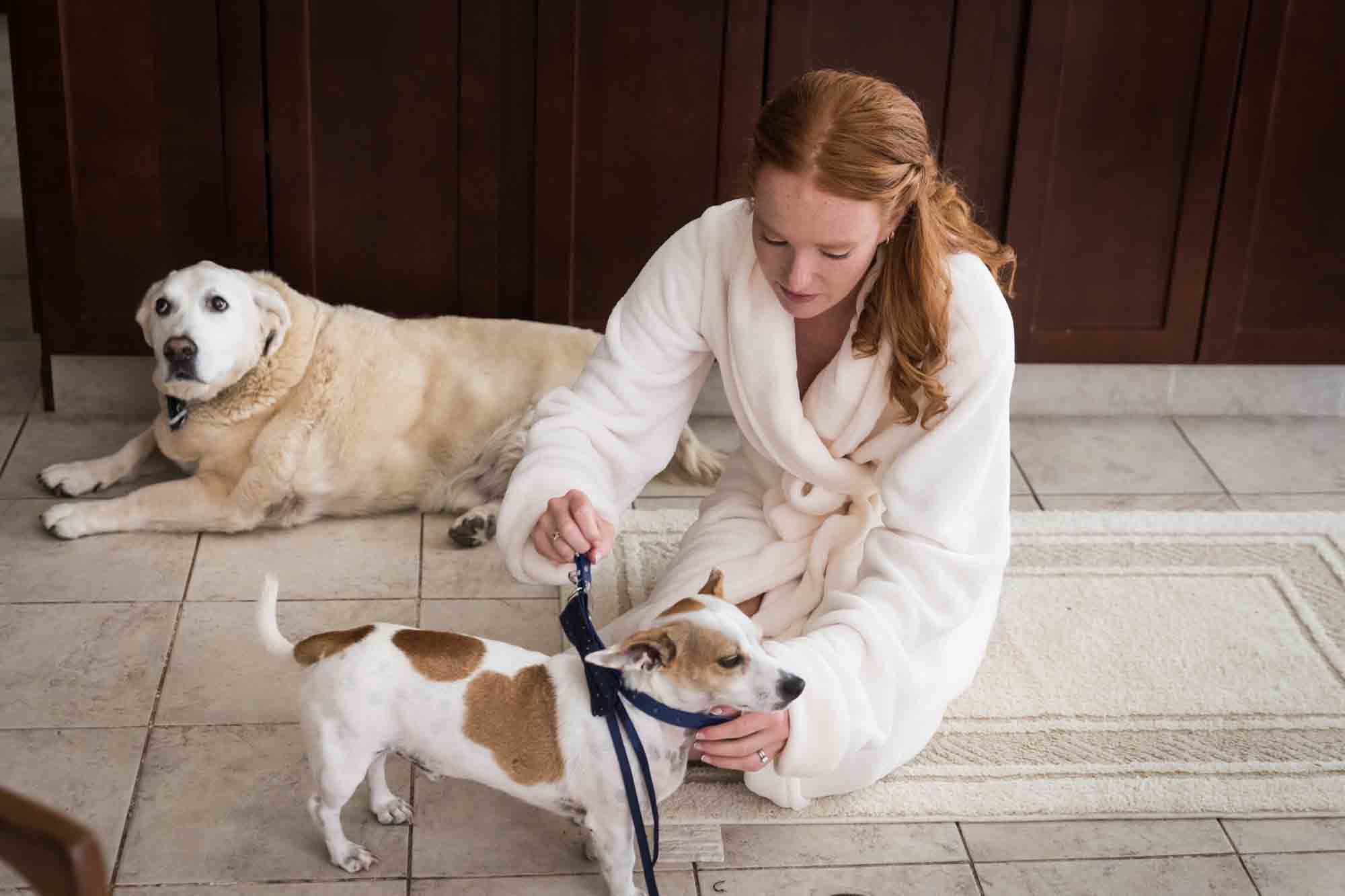 Woman with red hair wearing rob putting collar on dog