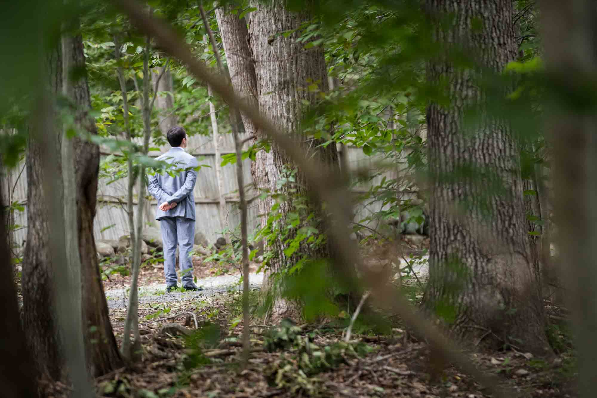 Groom standing in driveway seen through trees waiting for first look