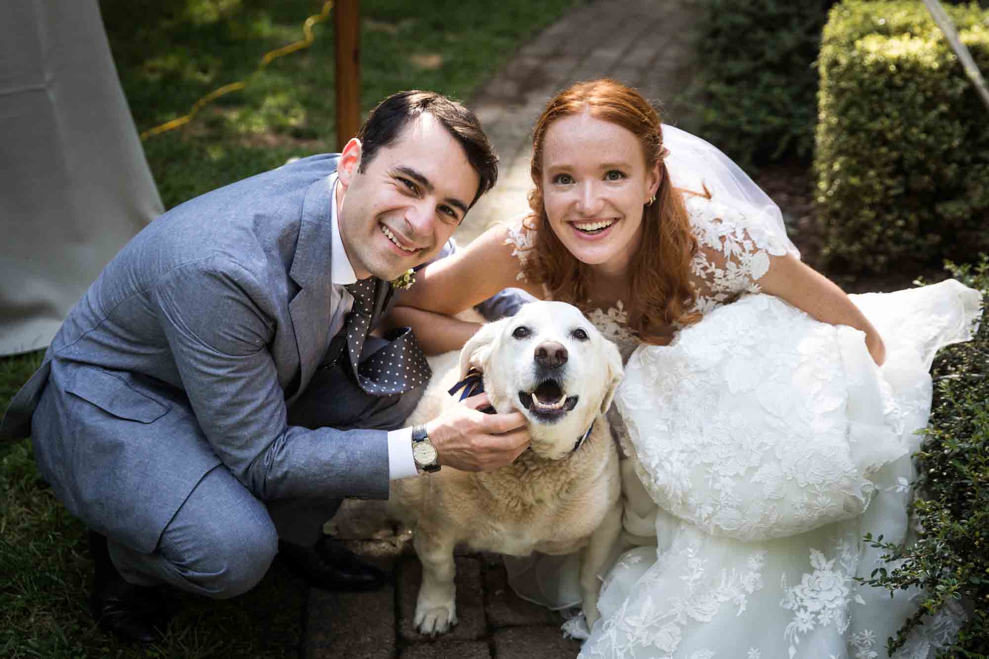 Bride and groom bending down over white dog for an article on backyard wedding tips