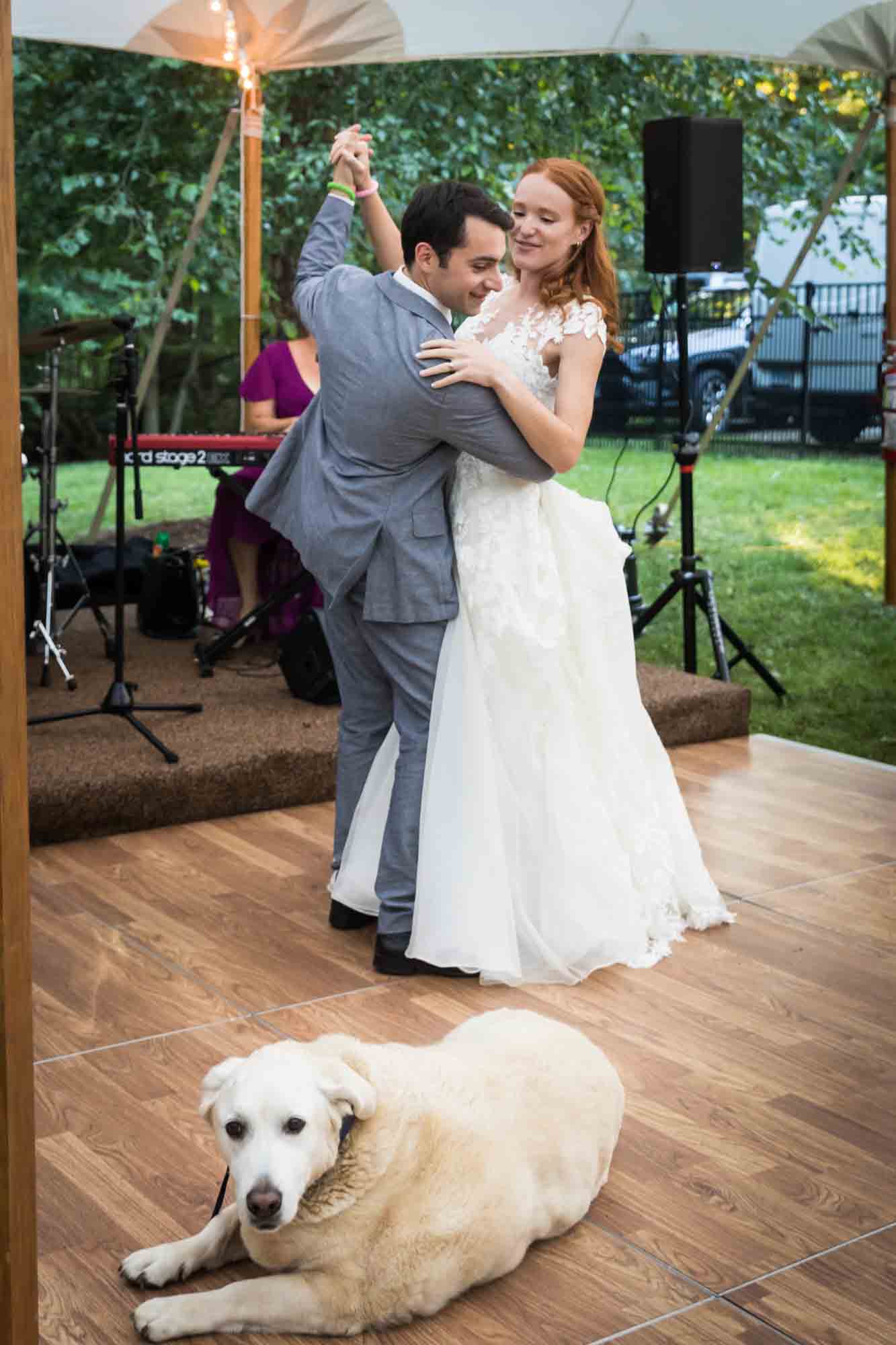 Bride and groom dancing in front of white dog on dance floor