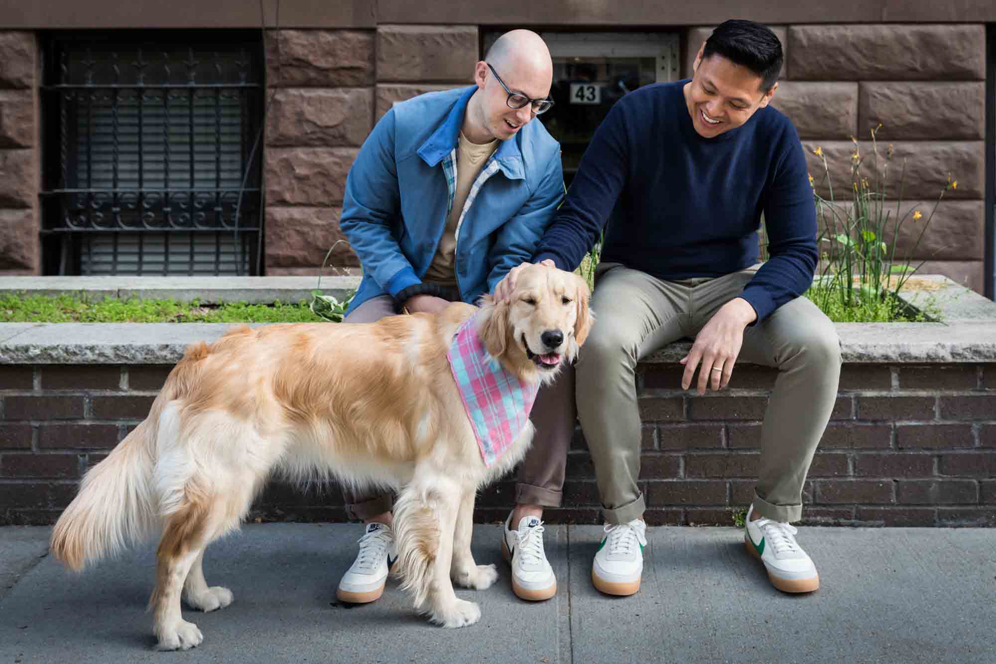 Two men sitting behind a golden retriever wearing a scarf