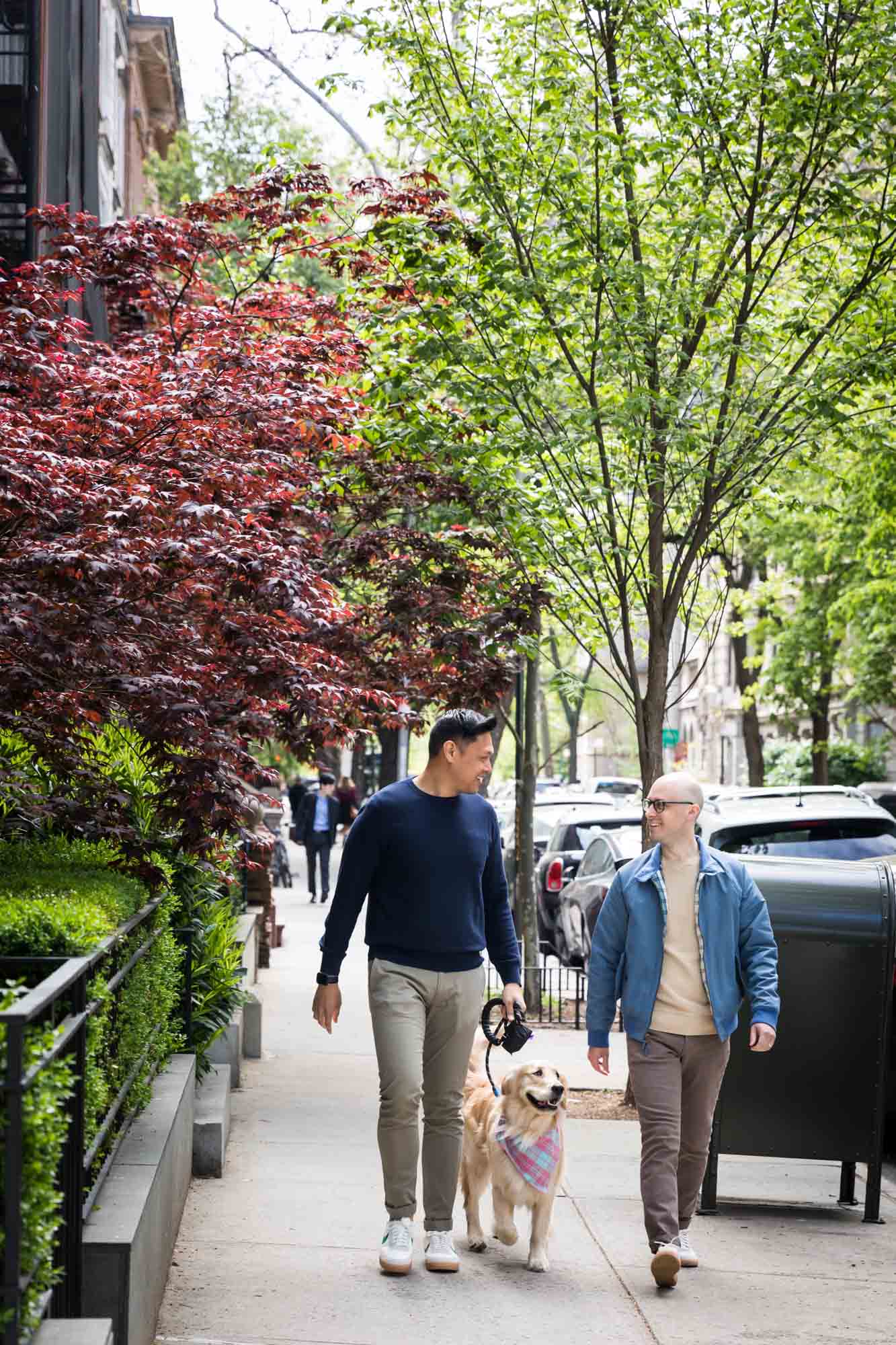 Two men walking a dog down a sidewalk in NYC