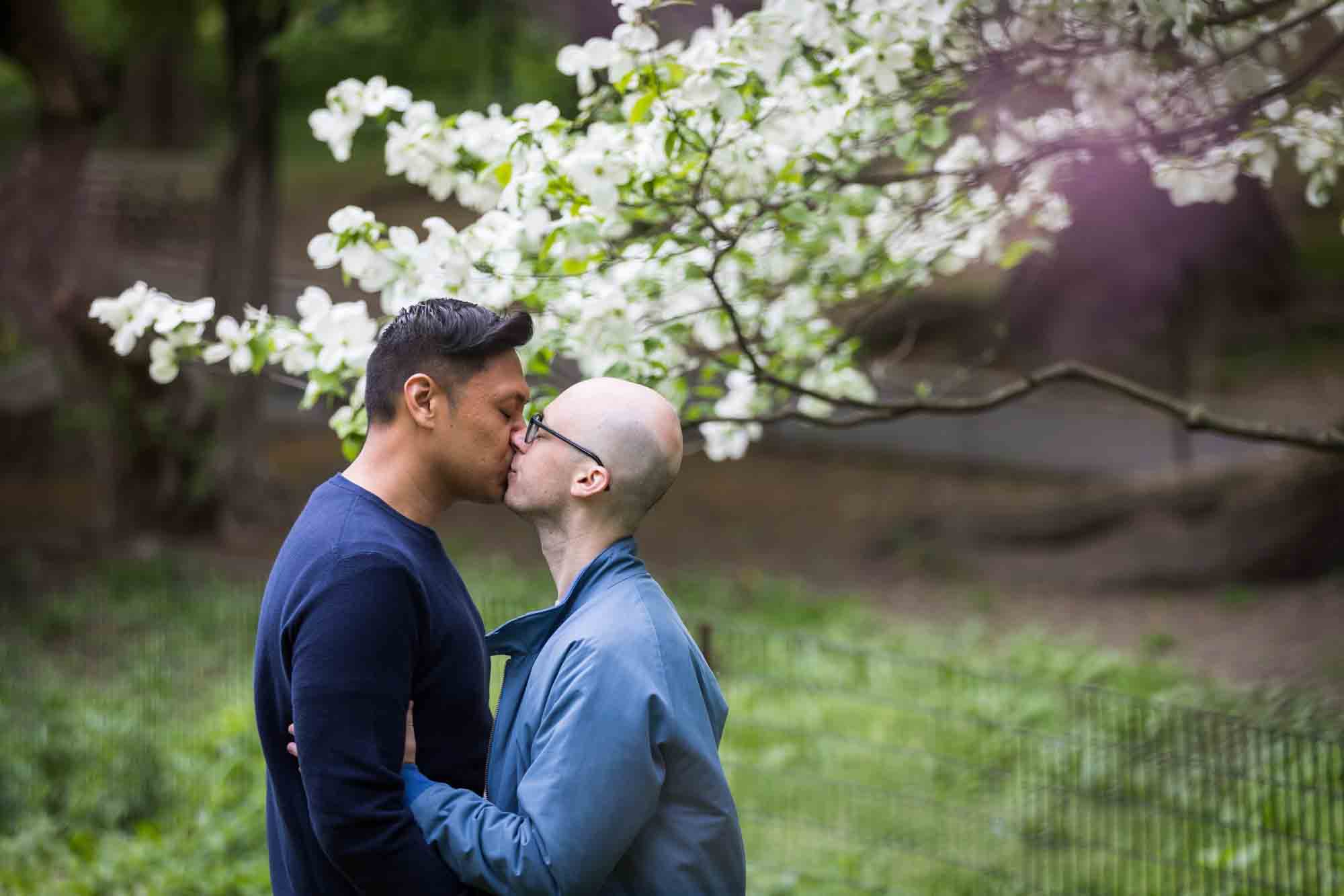 Two men kissing in front of white dogwood tree