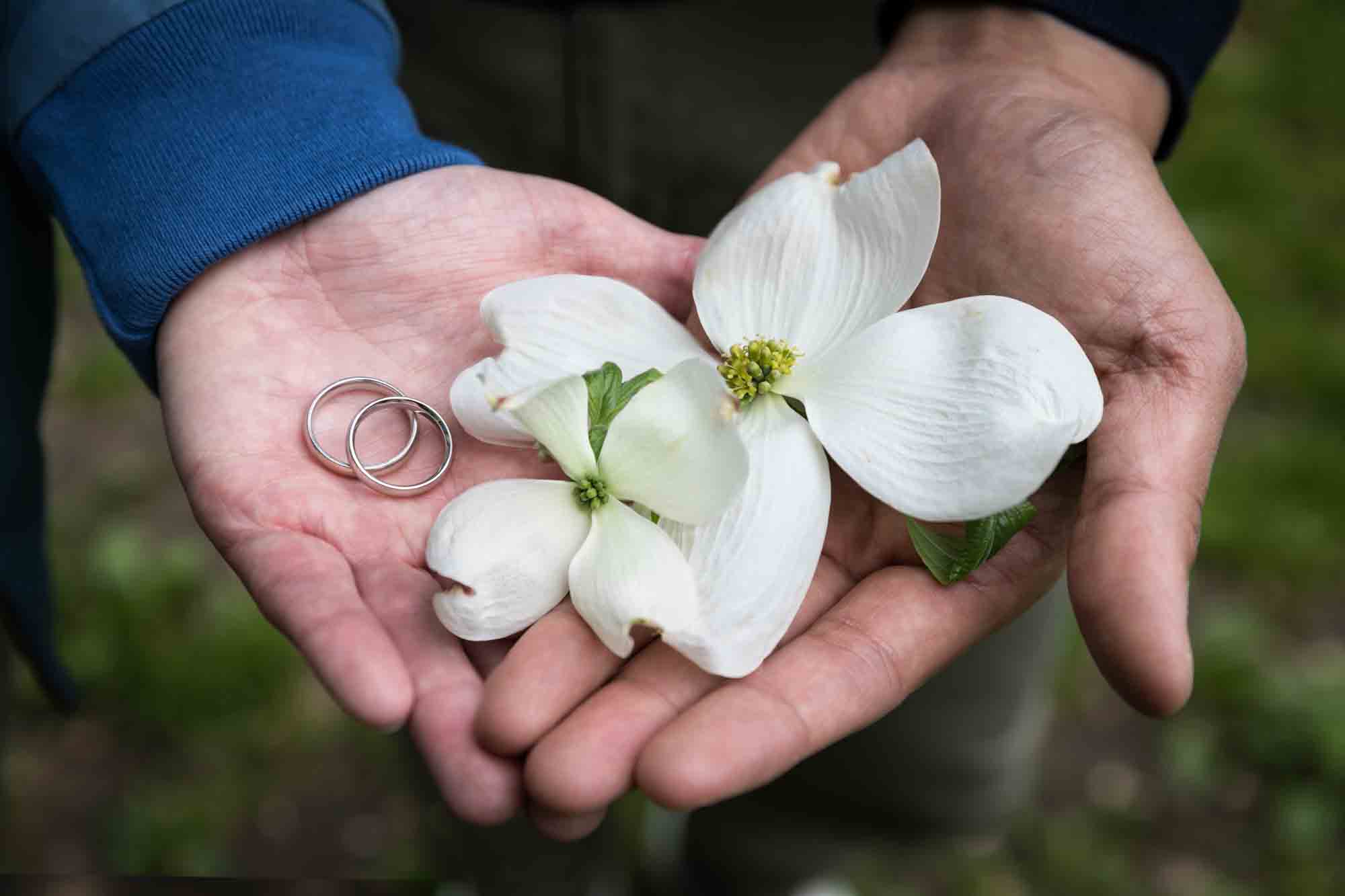 Two hands holding dogwood tree flower and engagement rings