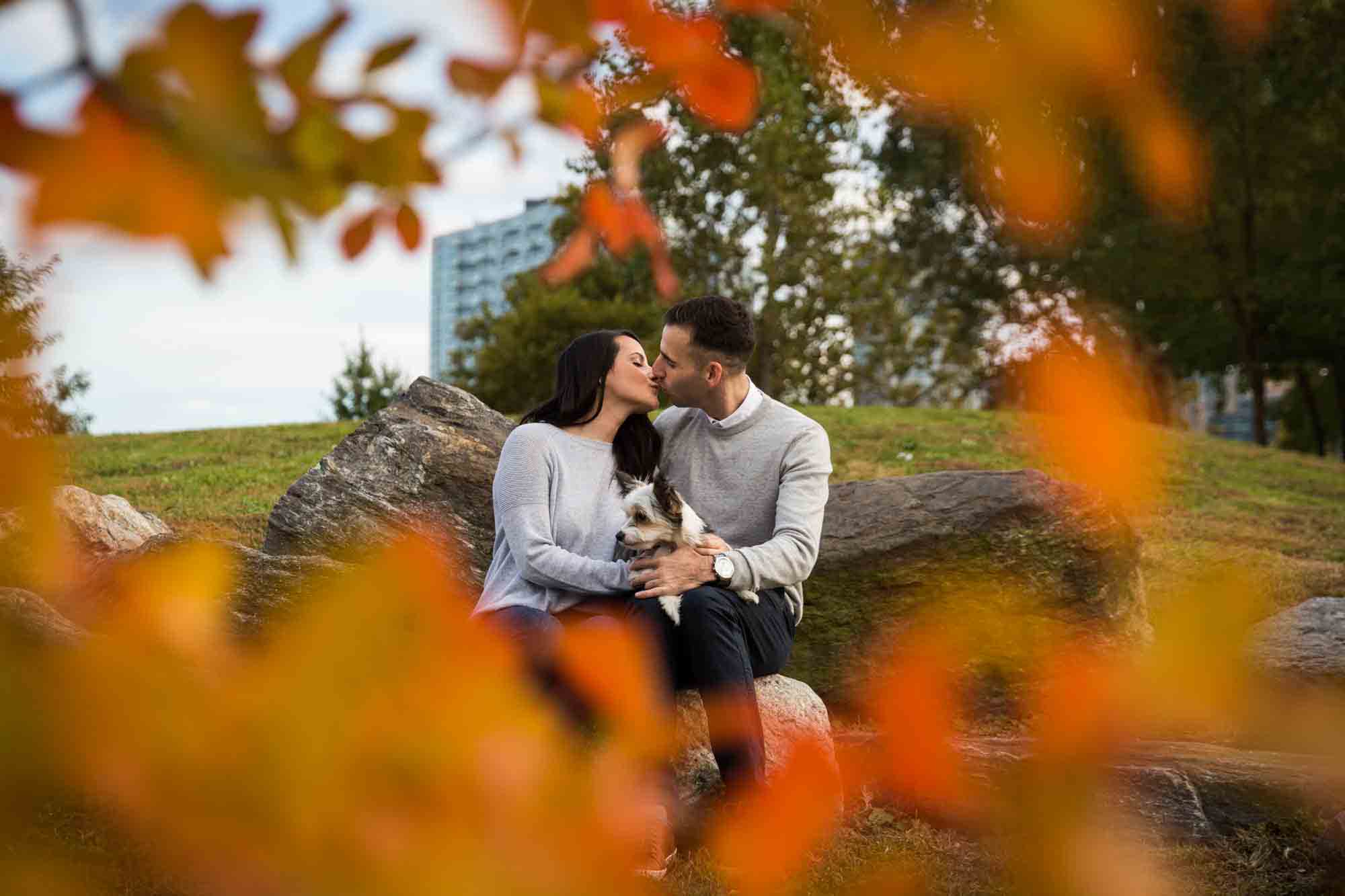 View through orange leaves of couple kissing while holding dog for an article on pet engagement photo tips