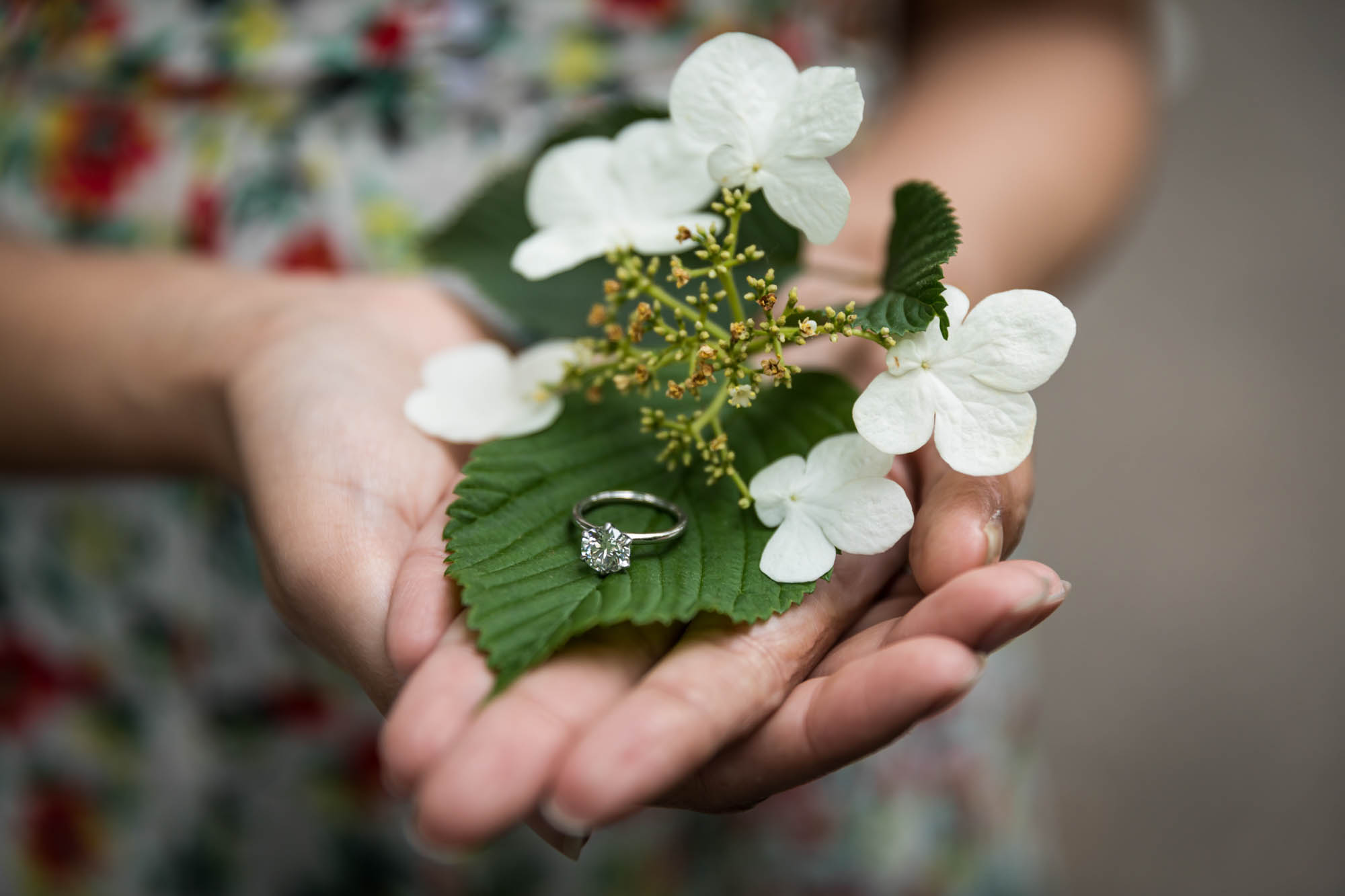 Woman's hands holding engagement ring on leaf with white hydrangea during a Brooklyn Bridge Park engagement photo shoot