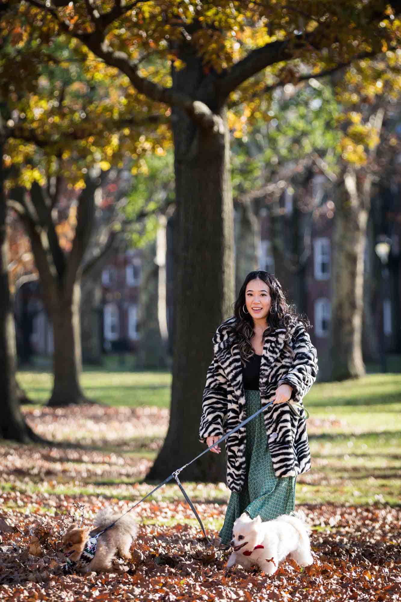 NYC pet portrait of woman walking dogs under tree on Governors Island