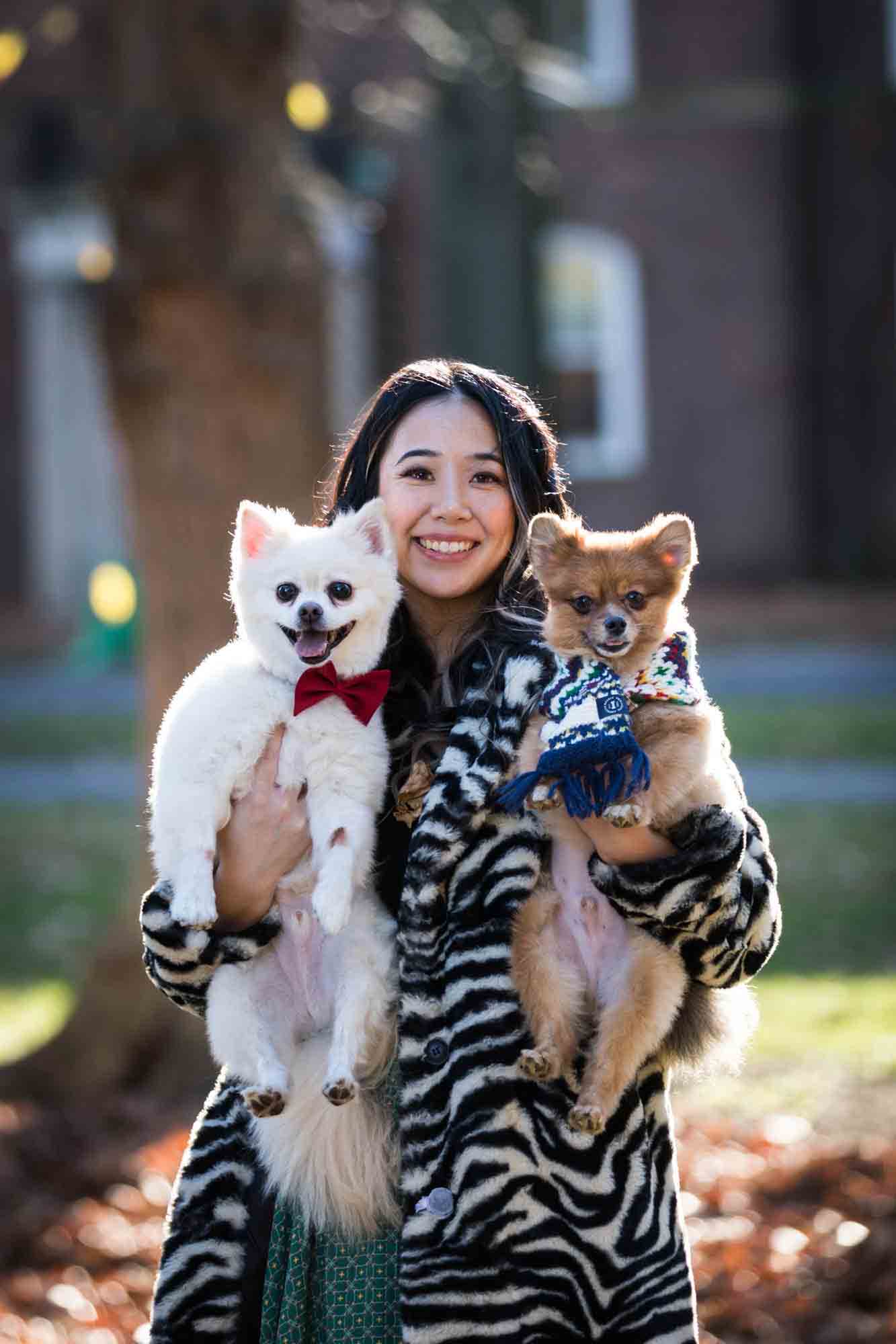 NYC pet portrait of woman holding two Pomeranian dogs and wearing zebra print coat