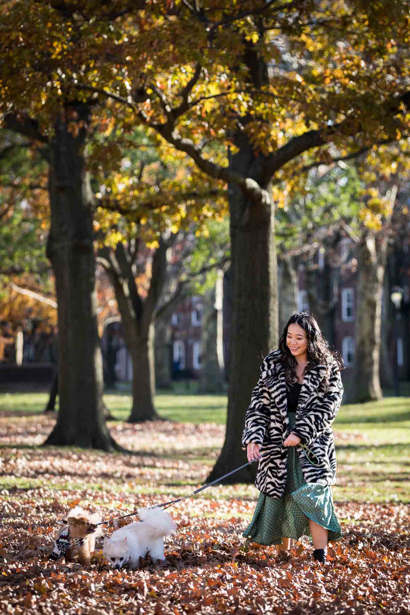 NYC pet portrait of woman walking dogs under tree on Governors Island