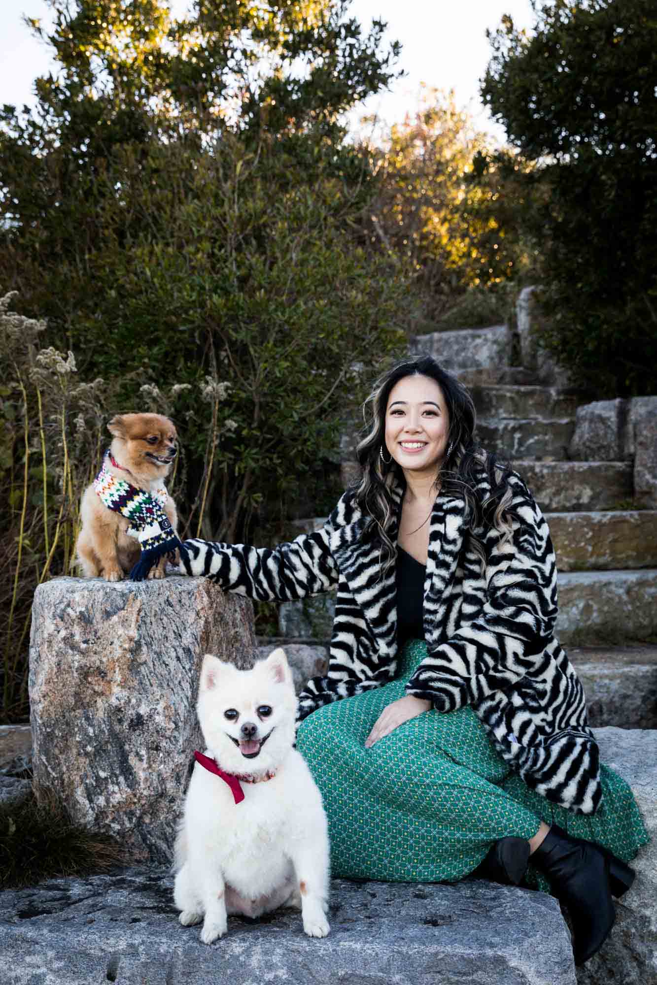 NYC pet portrait of woman wearing zebra print coat sitting on stone steps with two Pomeranian dogs