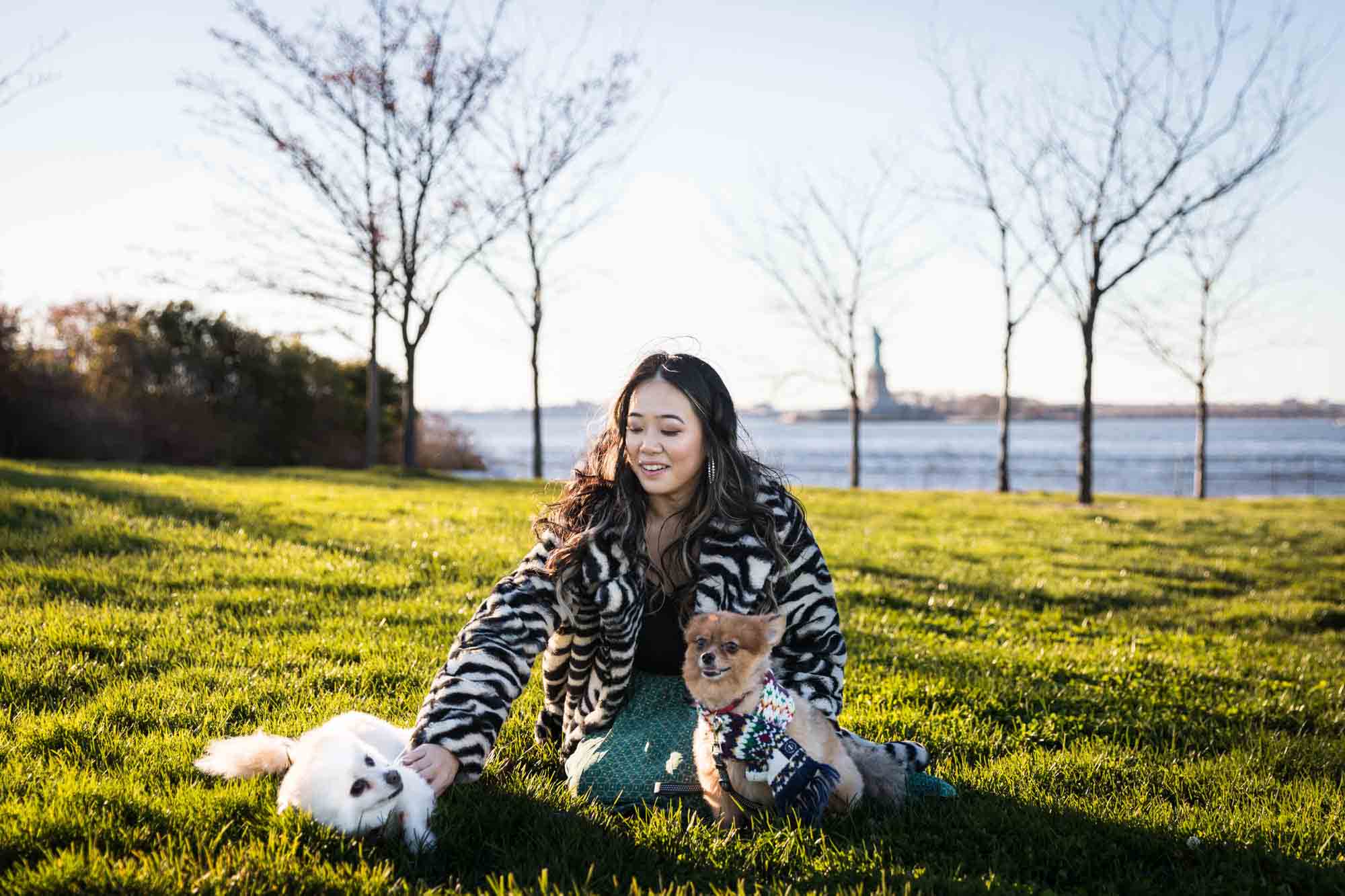 Pet portraits on Governors Island of woman sitting in grass with hands in air playing with two Pomeranian dogs