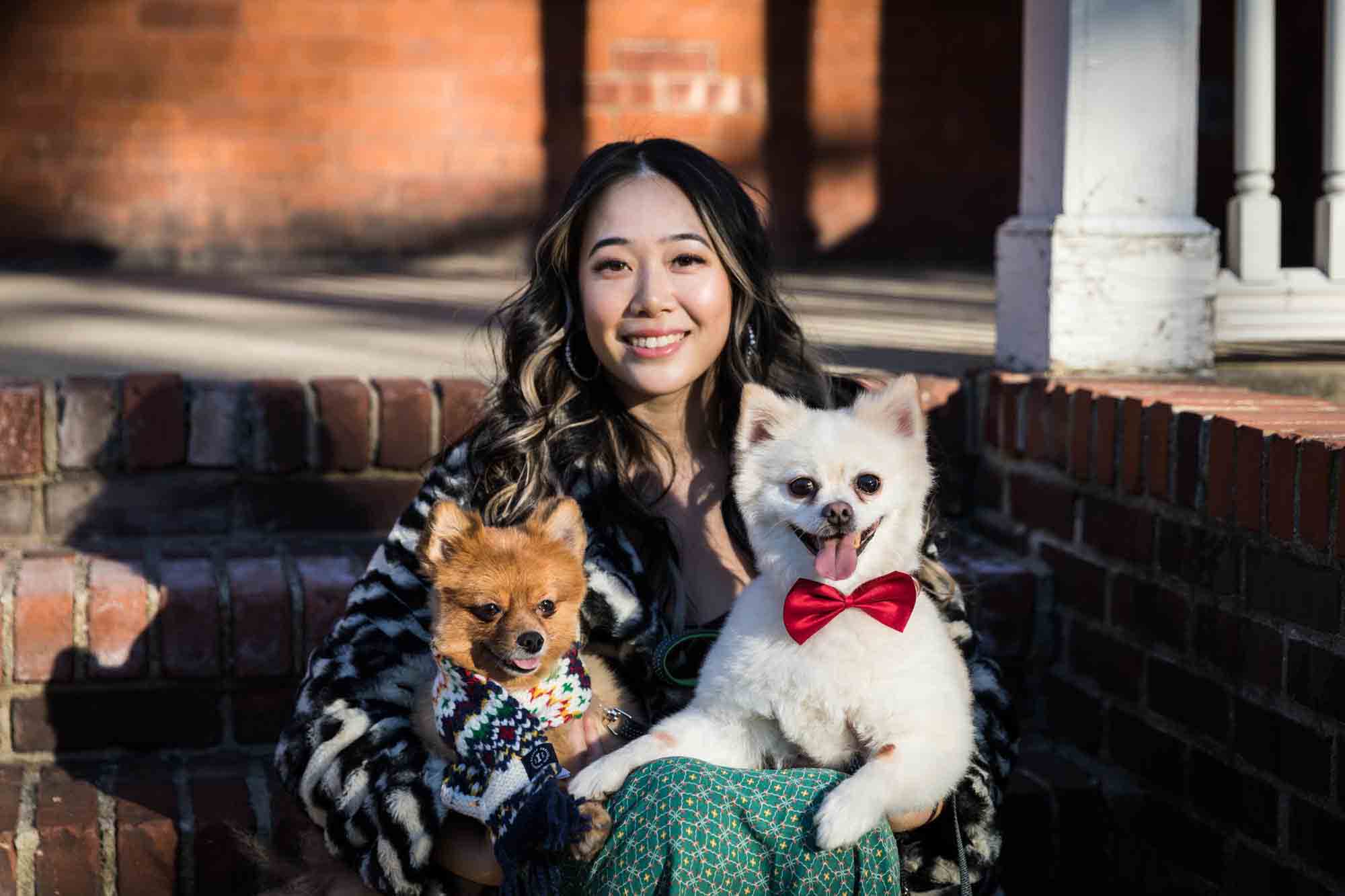 Pet portraits on Governors Island of woman sitting on brick stairs with two Pomeranian dogs