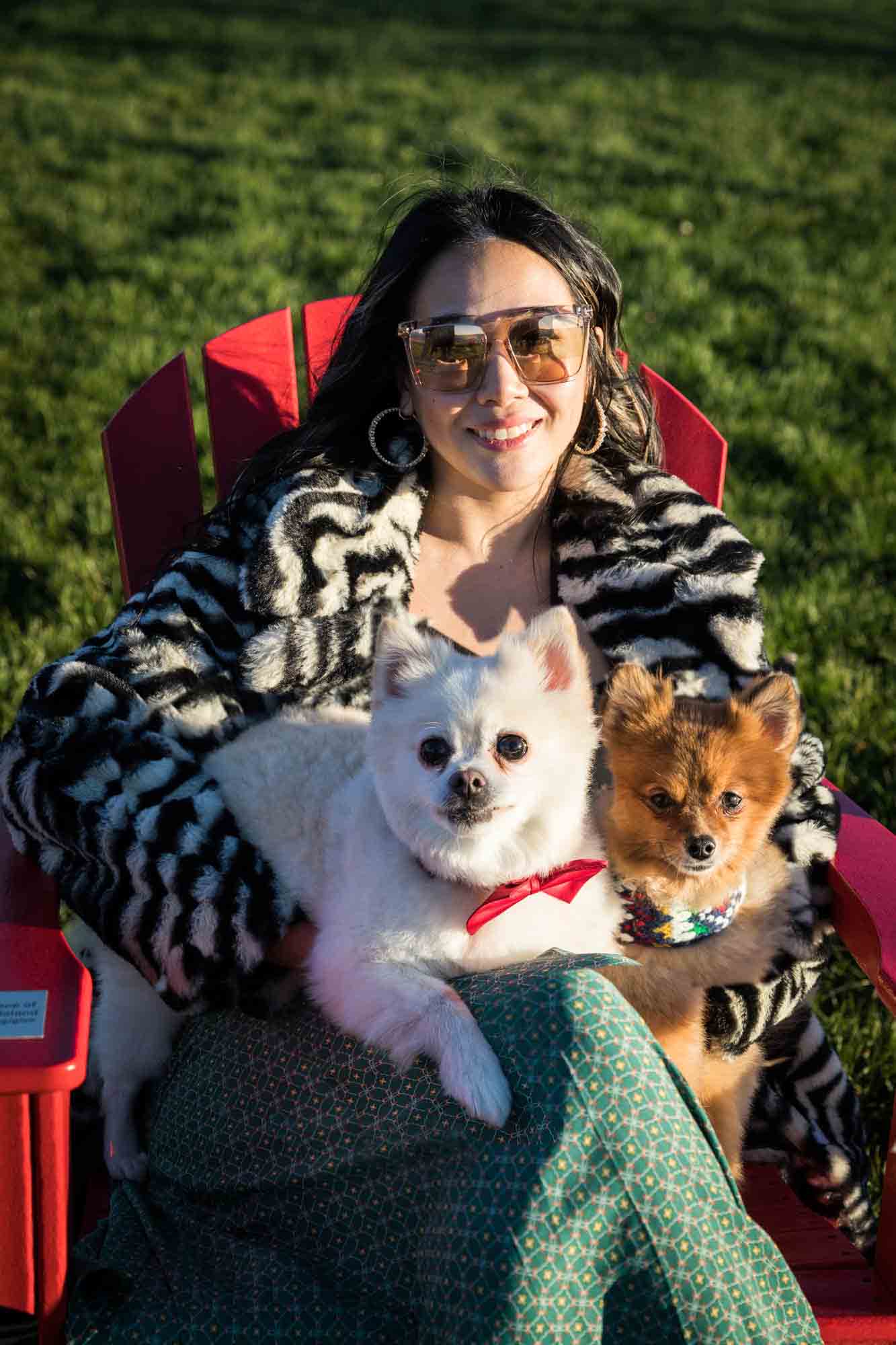 Governors Island pet portrait of woman wearing sunglasses while holding two Pomeranian dogs in red Adirondack chair