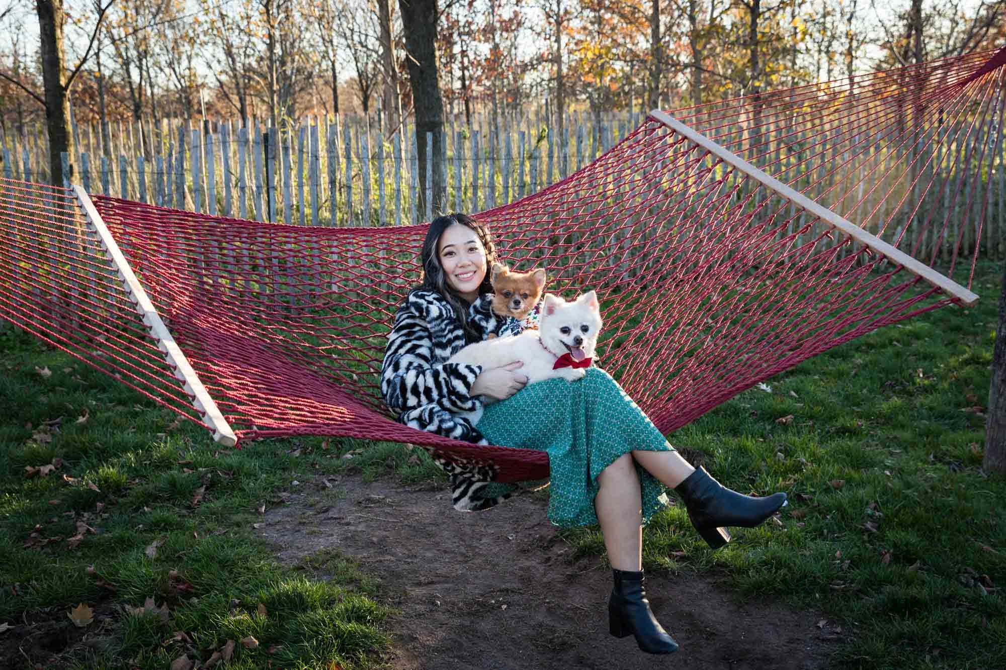 Pet portraits on Governors Island of woman sitting in hammock with two Pomeranian dogs