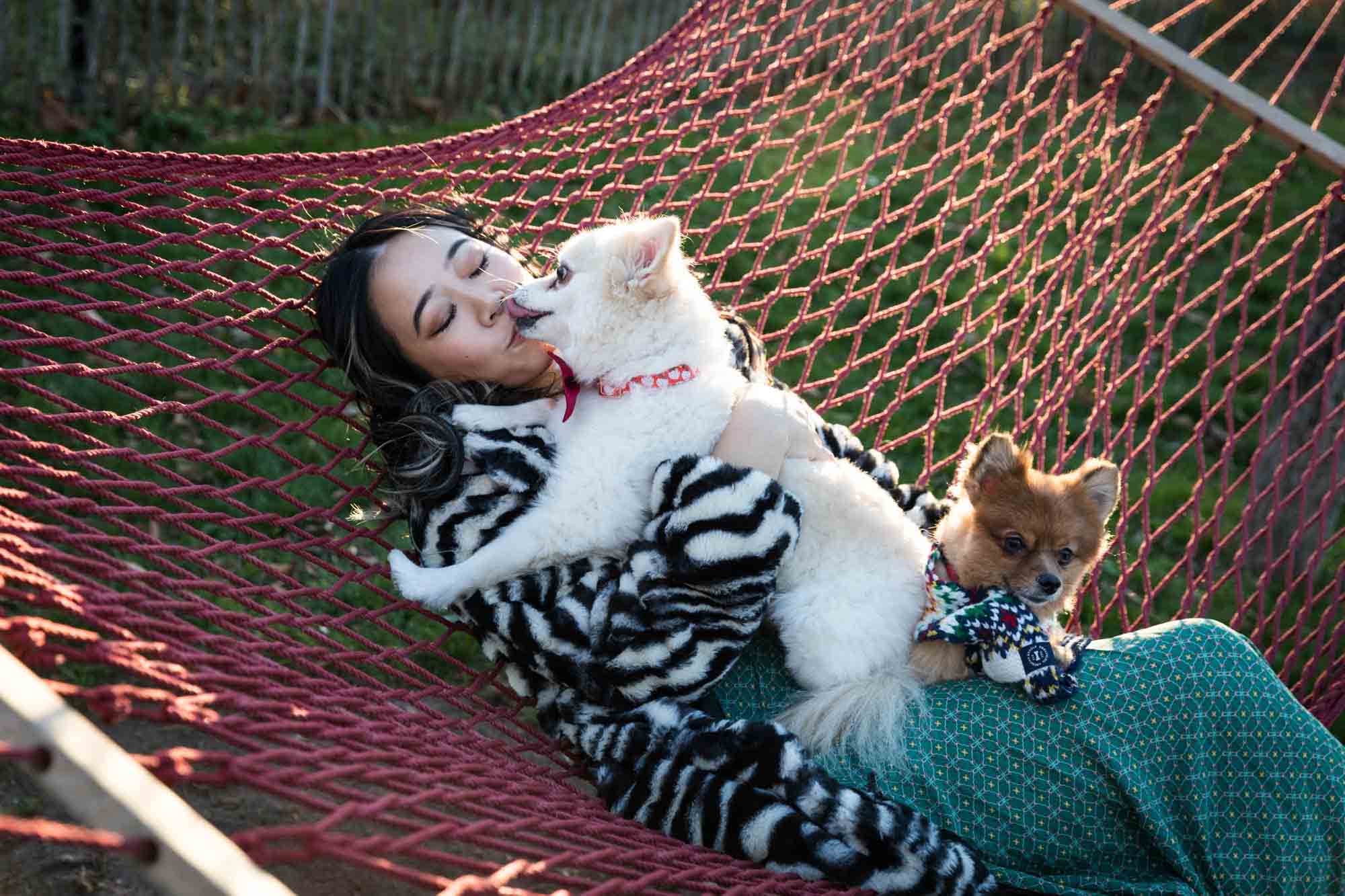 Pet portraits on Governors Island of woman sitting in hammock with two Pomeranian dogs