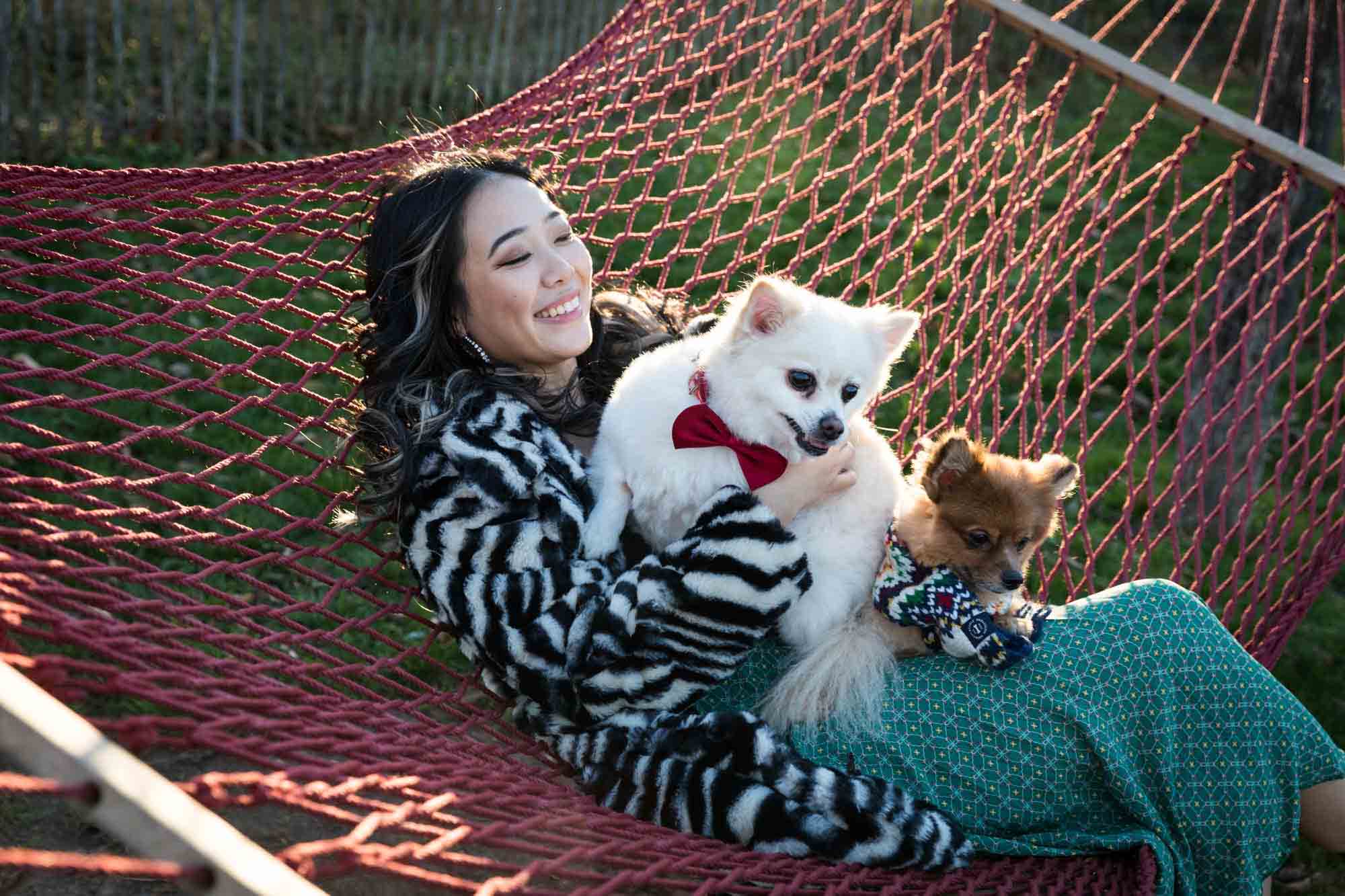 Pet portraits on Governors Island of woman sitting in hammock with two Pomeranian dogs