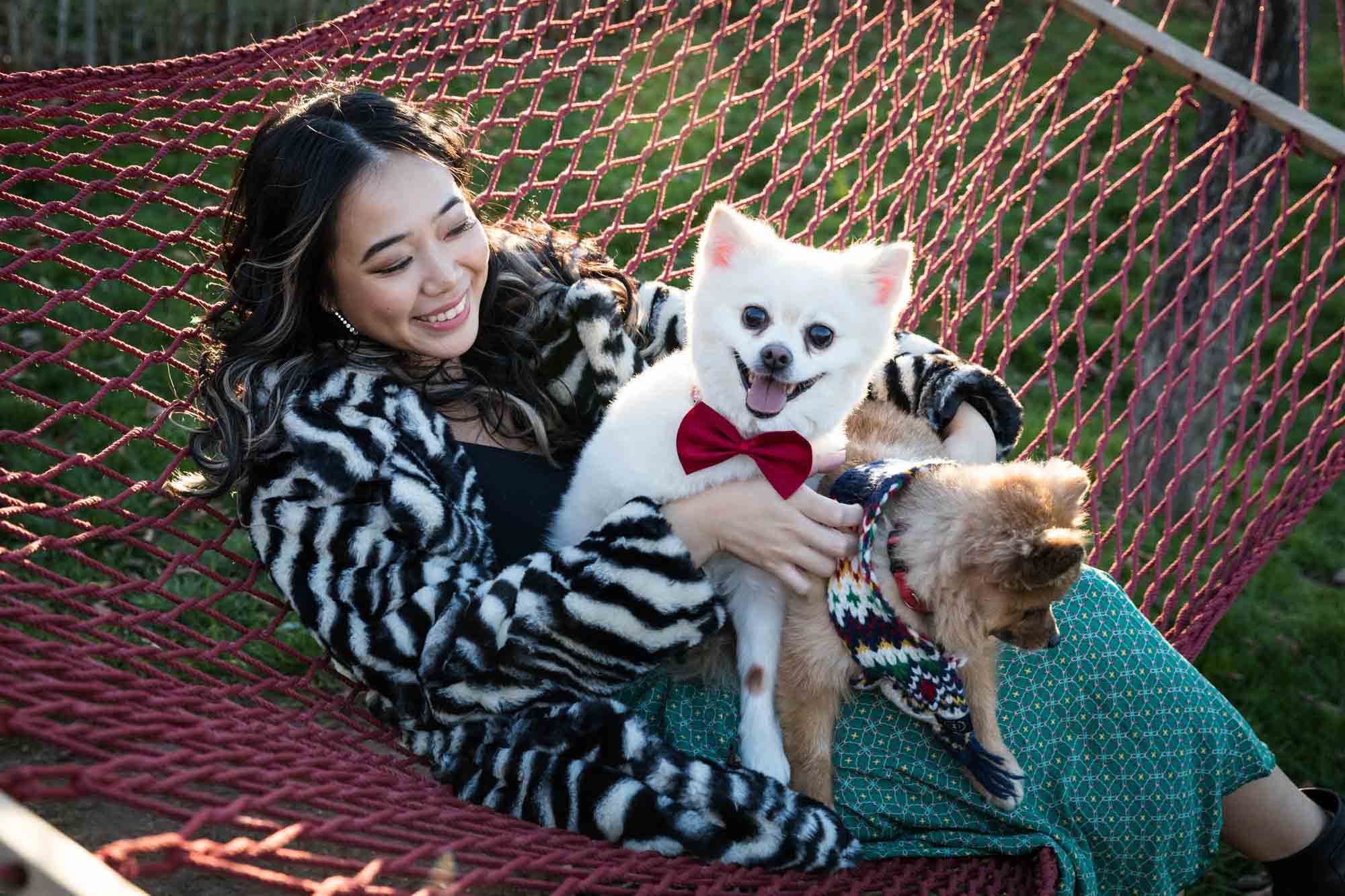 Pet portraits on Governors Island of woman sitting in hammock with two Pomeranian dogs