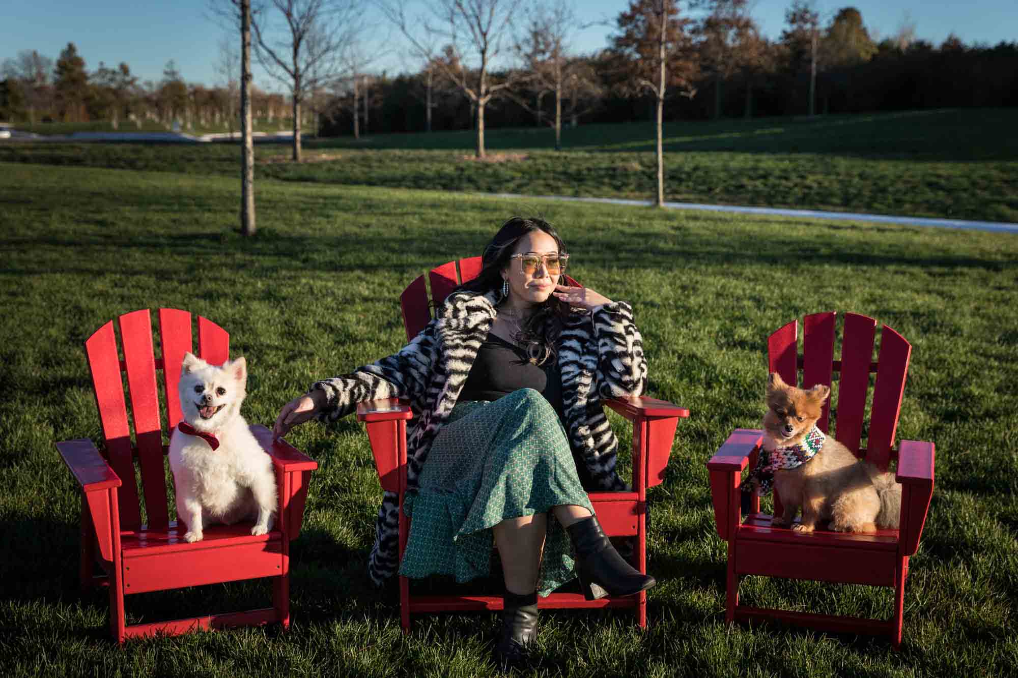 Woman wearing sunglasses sitting in red Adirondack chair and dogs in matching chairs