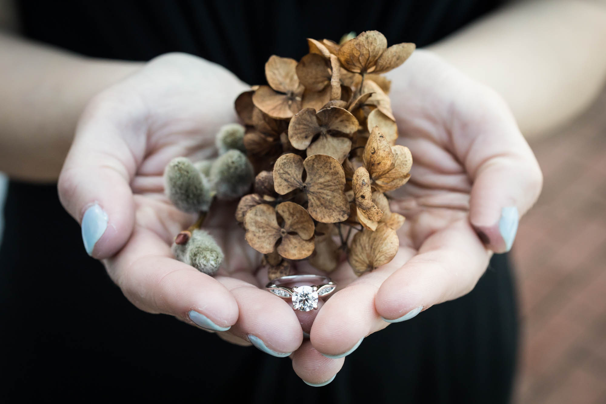 Woman's hands holding engagement ring and dried hydrangea flowers