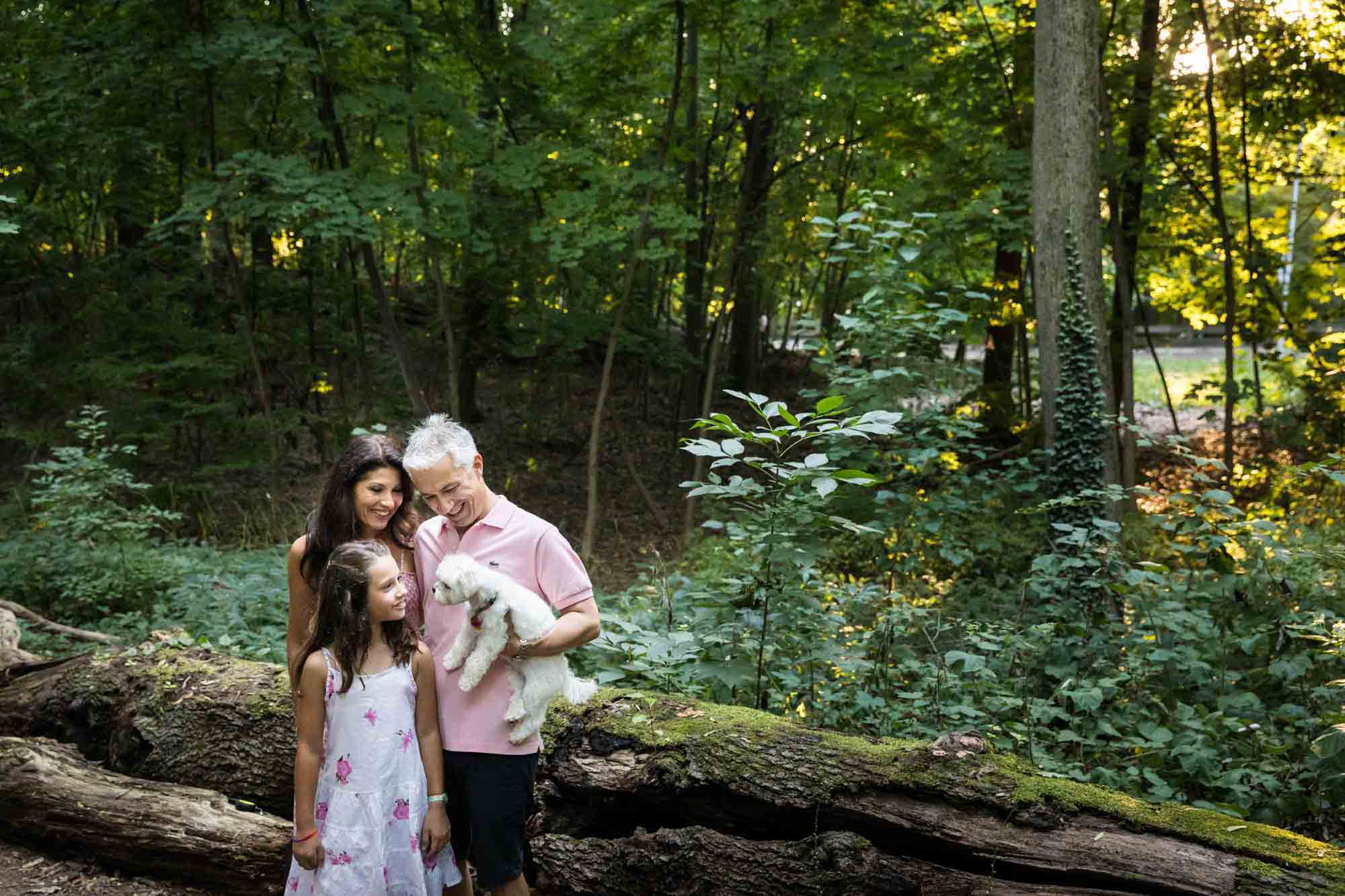 Parents and young girl focused on small white dog with log in the background during Forest Hills family portrait