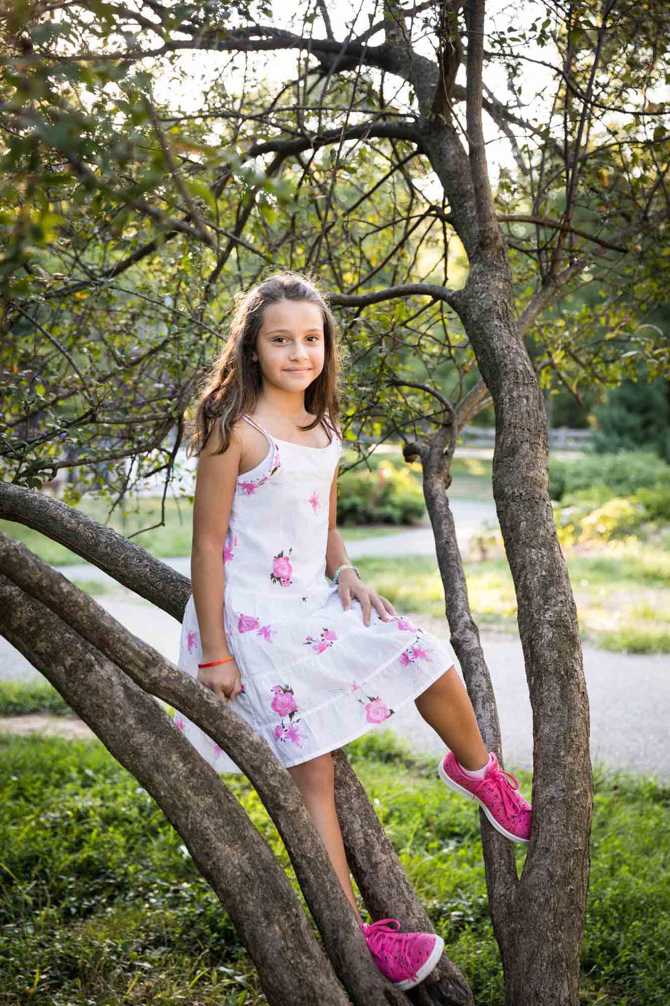 Young girl wearing pink flower dress and sitting in a tree during a Forest Park family photo shoot
