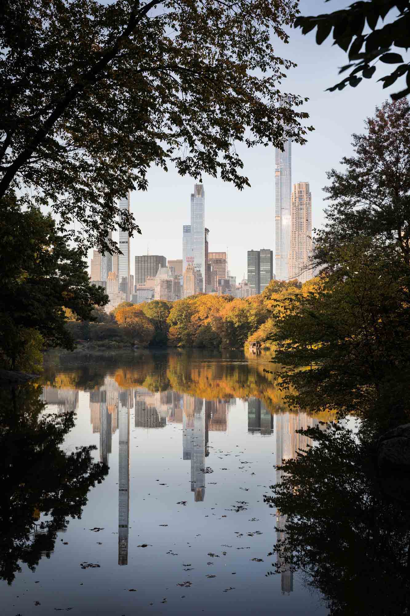 View of NYC skyline through trees over lake in Central Park