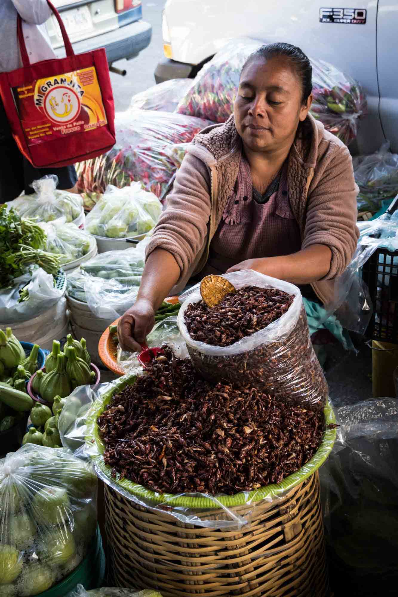 A woman sells grasshoppers or chapulines in the Oaxaca market