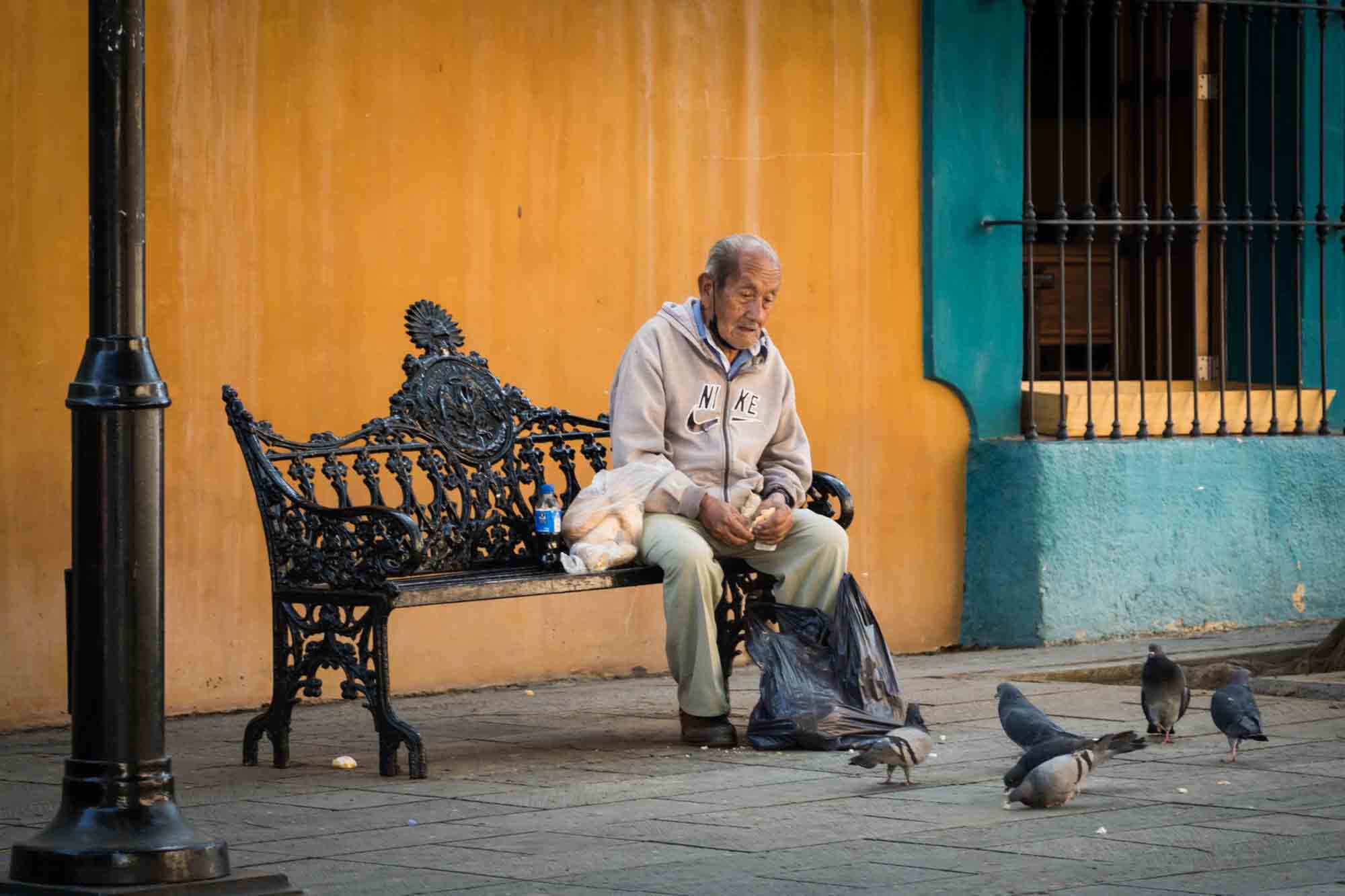 An old man on a bench feeds the pigeons in Oaxaca