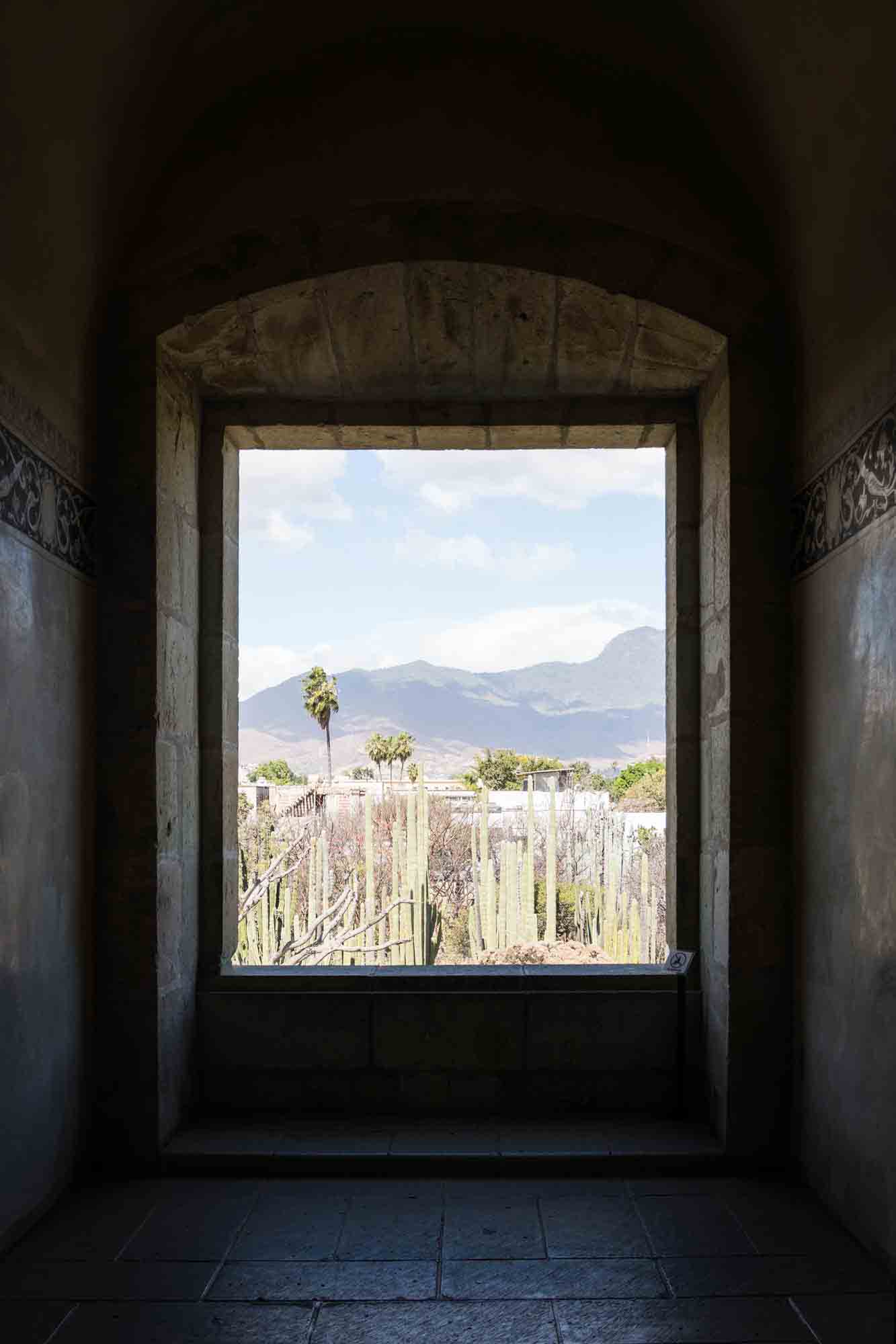 A window looking out to the Oaxaca botanical garden