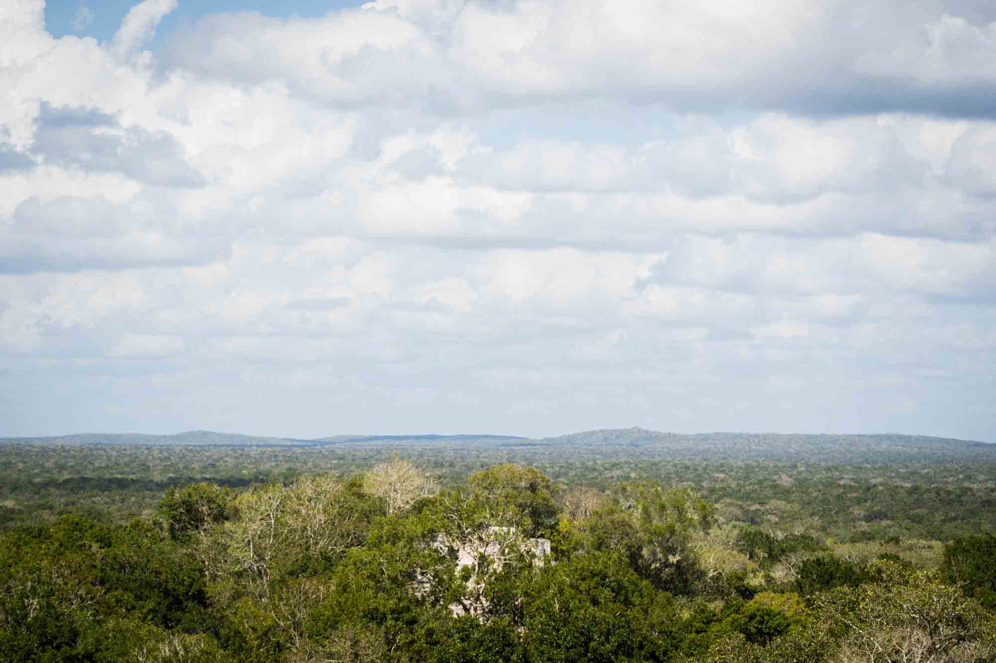 View of the treetops and clouds from a pyramid in Calakmul