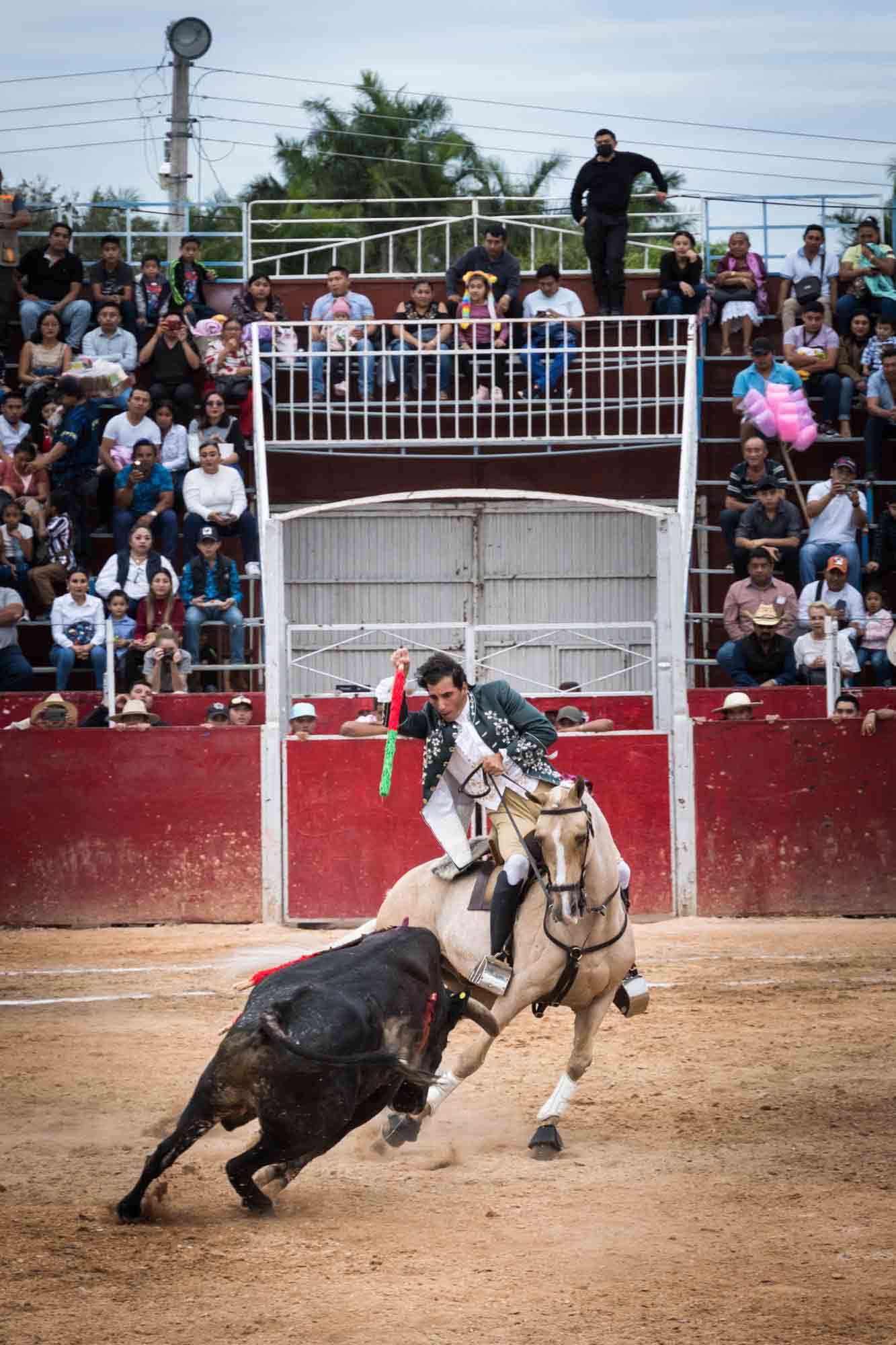 A bullfighter stabbing a bull in the ring in Valladolid
