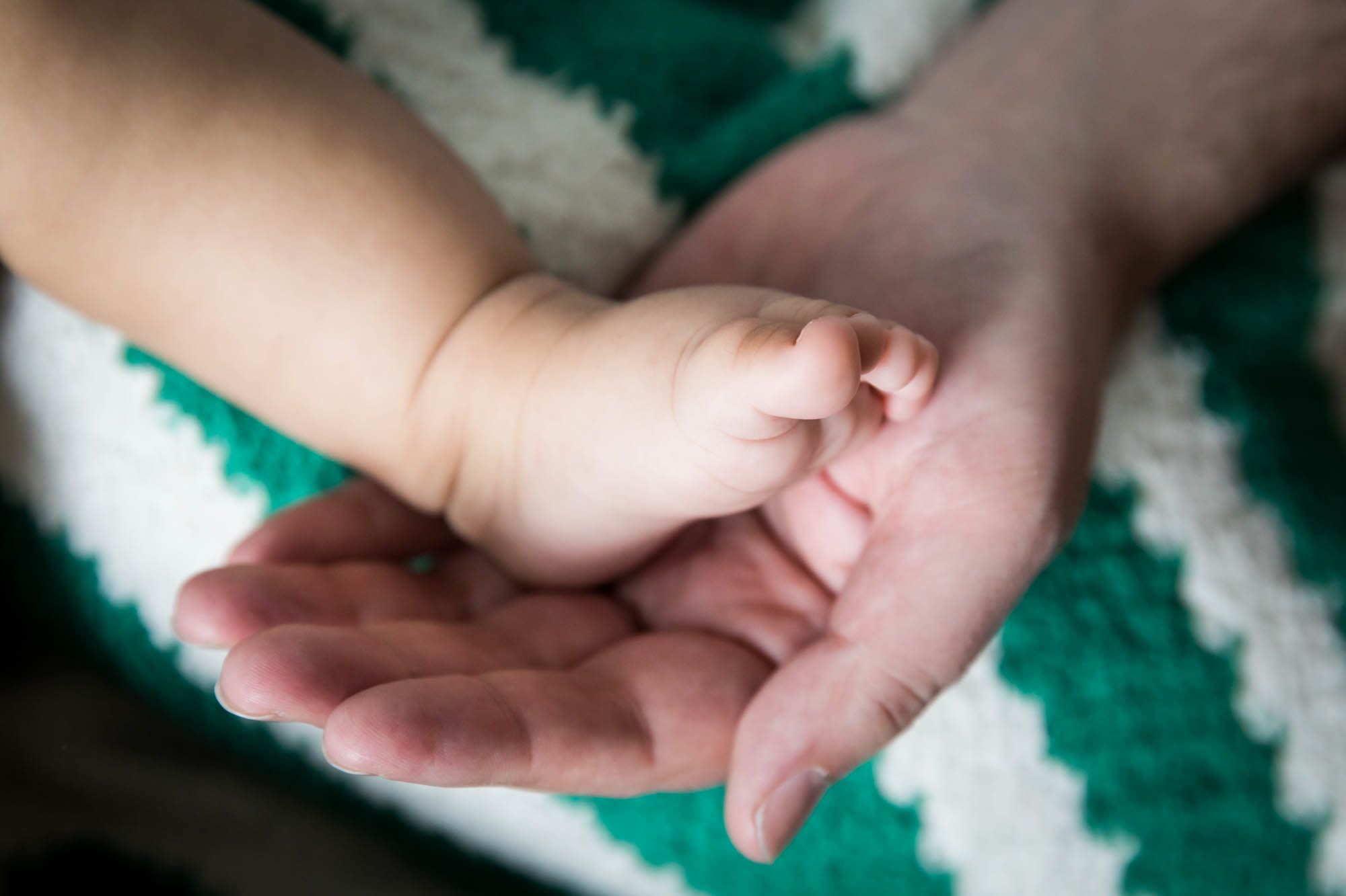Father's hand holding newborn baby foot on green and white blanket during a New York family portrait session
