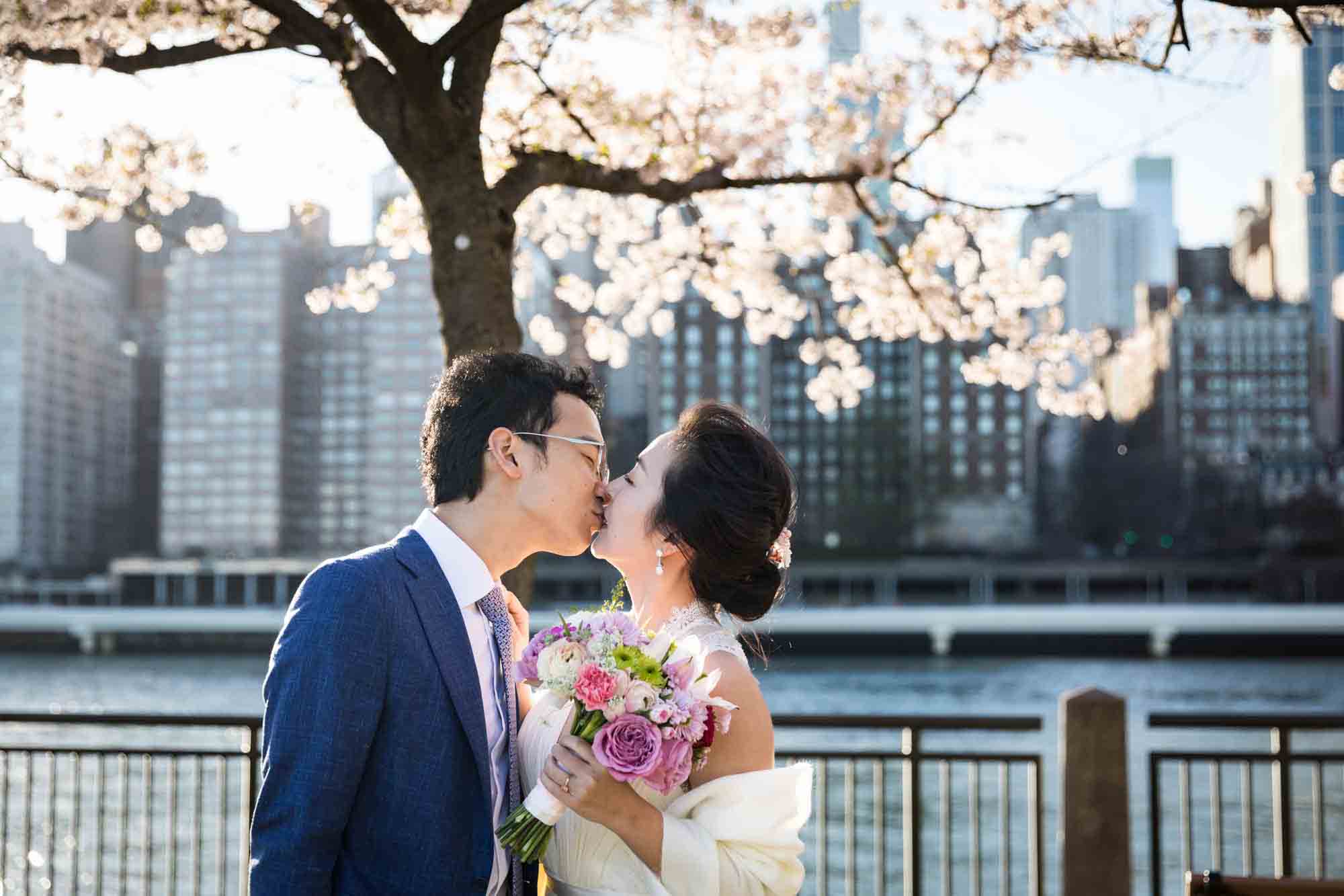 Couple kissing under cherry blossom tree during a Roosevelt Island engagement photo shoot