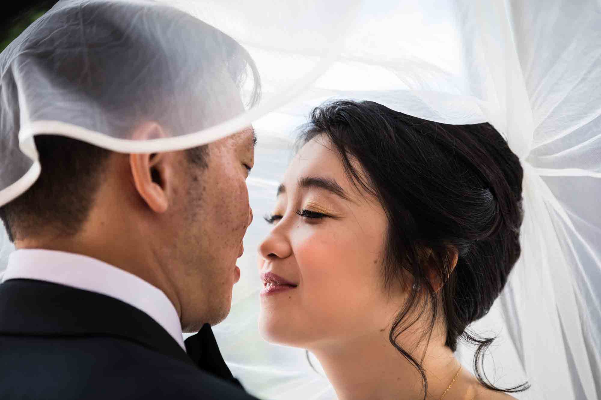 Bride and groom about to kiss under veil during a Sheraton LaGuardia East Hotel wedding