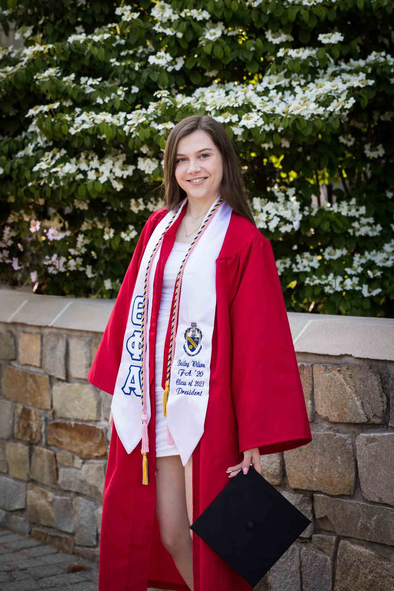 Female graduate in front of white flowering bush wearing red robe and holding graduation cap for an article on graduation portrait photo tips