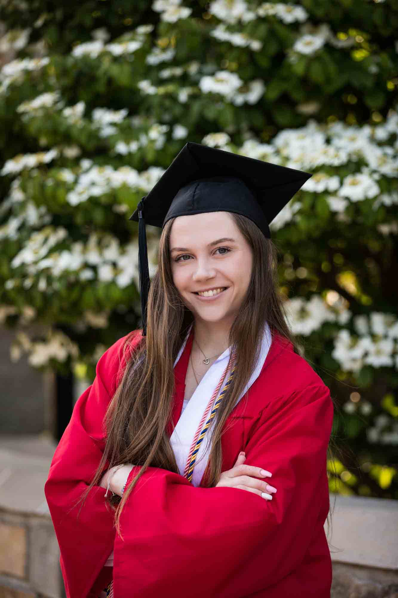 Female graduate in front of white flowering bush wearing red robe and graduation cap for an article on graduation portrait photo tips