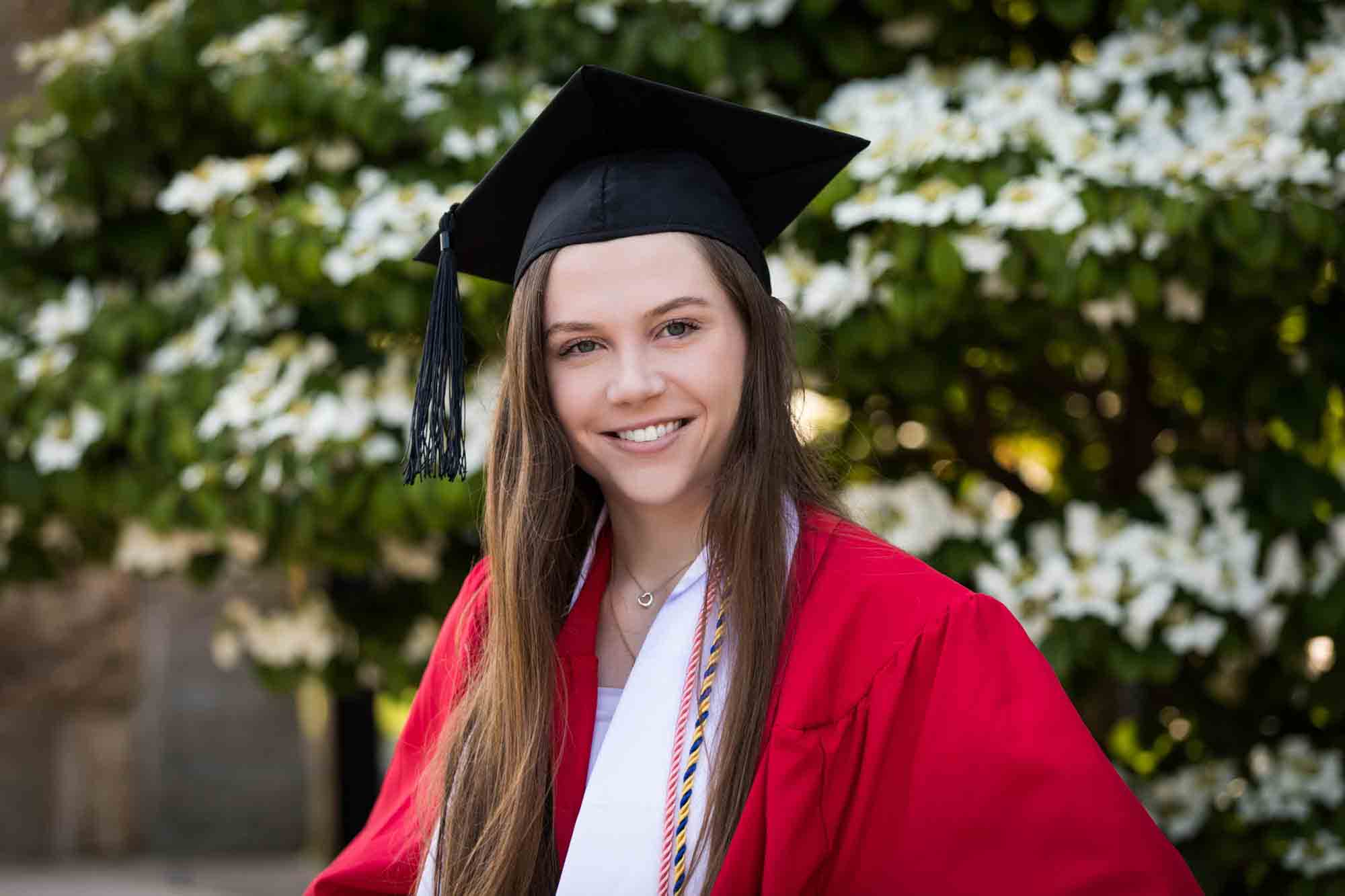 Female graduate in front of white flowering bush wearing red robe and graduation cap for an article on graduation portrait photo tips